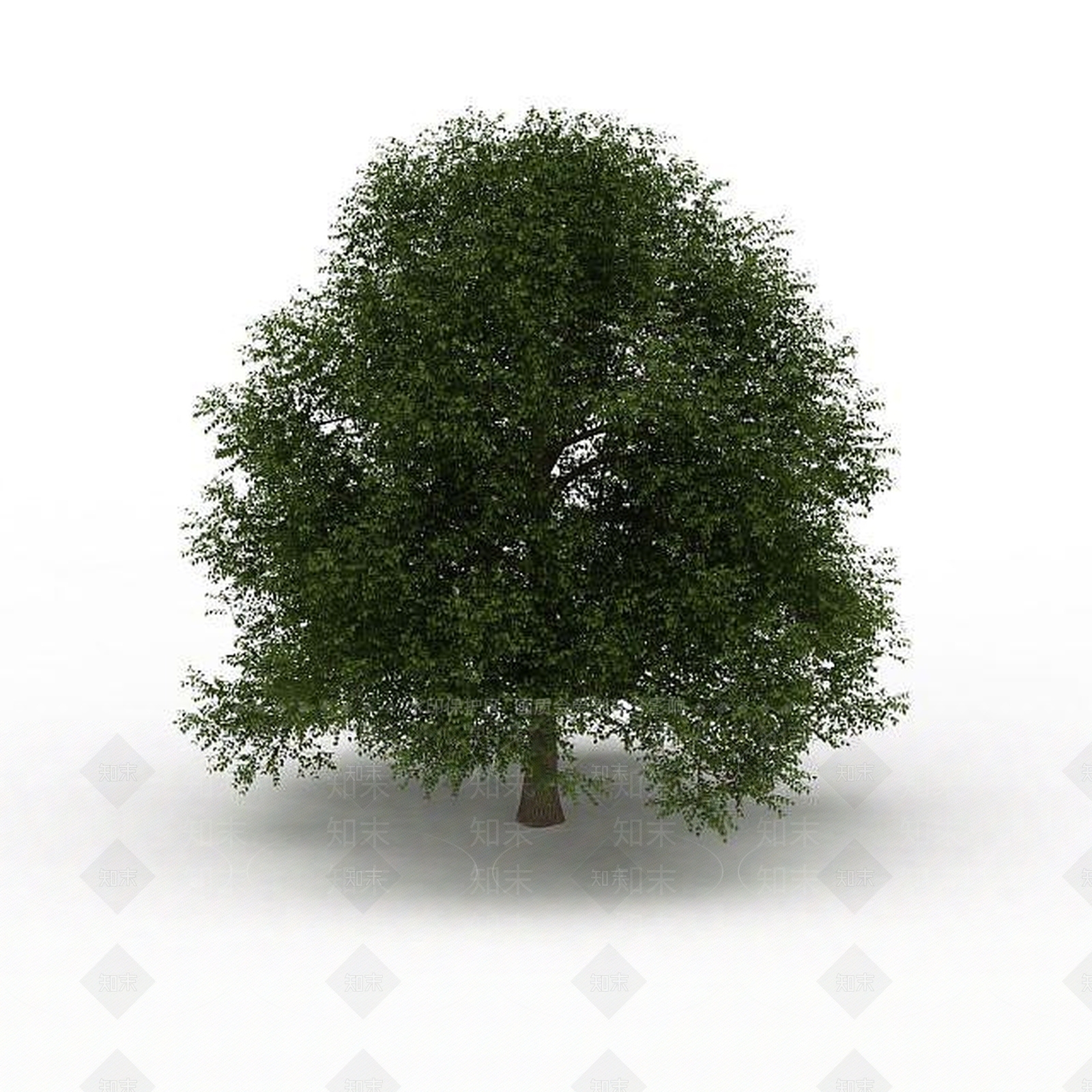 现代室外景观树3D模型下载【ID:1199053890】
