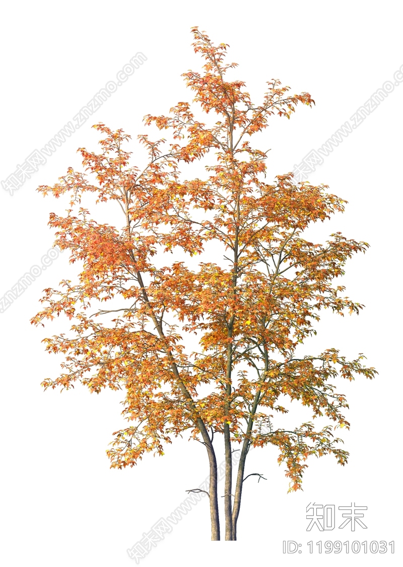 新中式中式其他树木下载【ID:1199101031】
