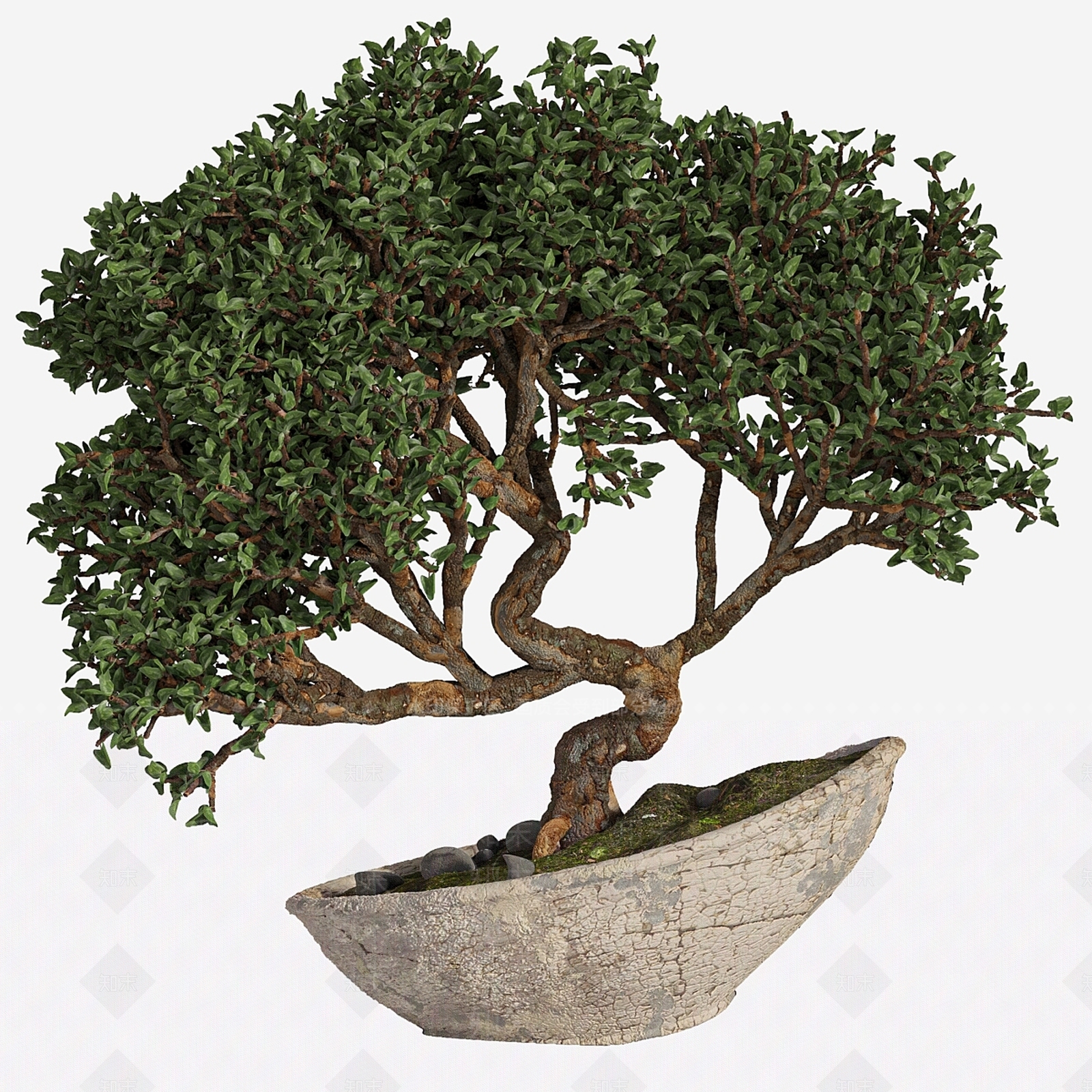 盆栽3D模型下载【ID:1199142325】