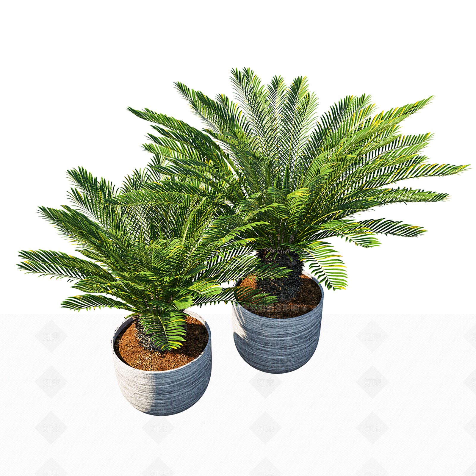 盆栽3D模型下载【ID:1199179146】
