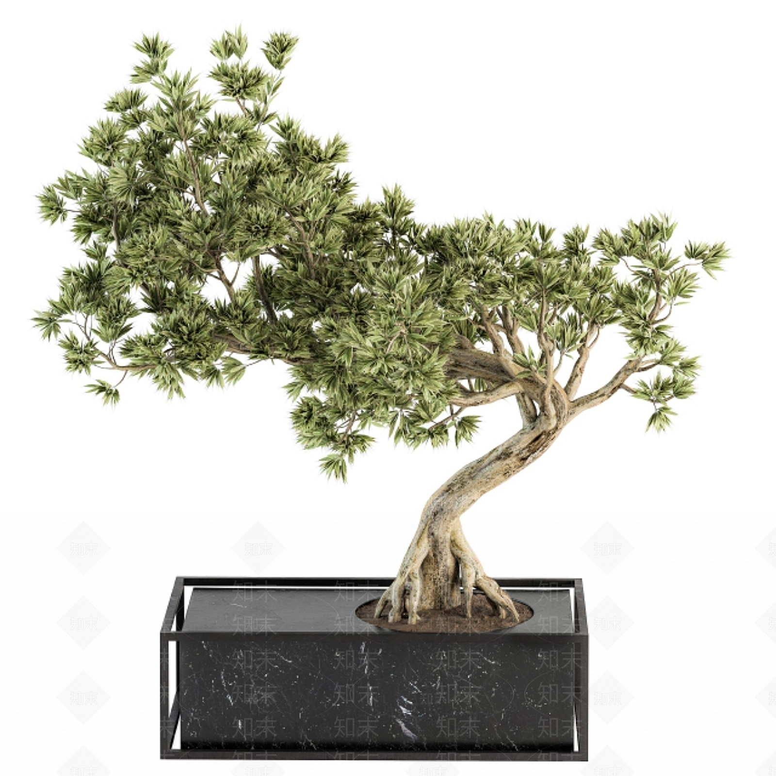 盆栽3D模型下载【ID:1199182510】