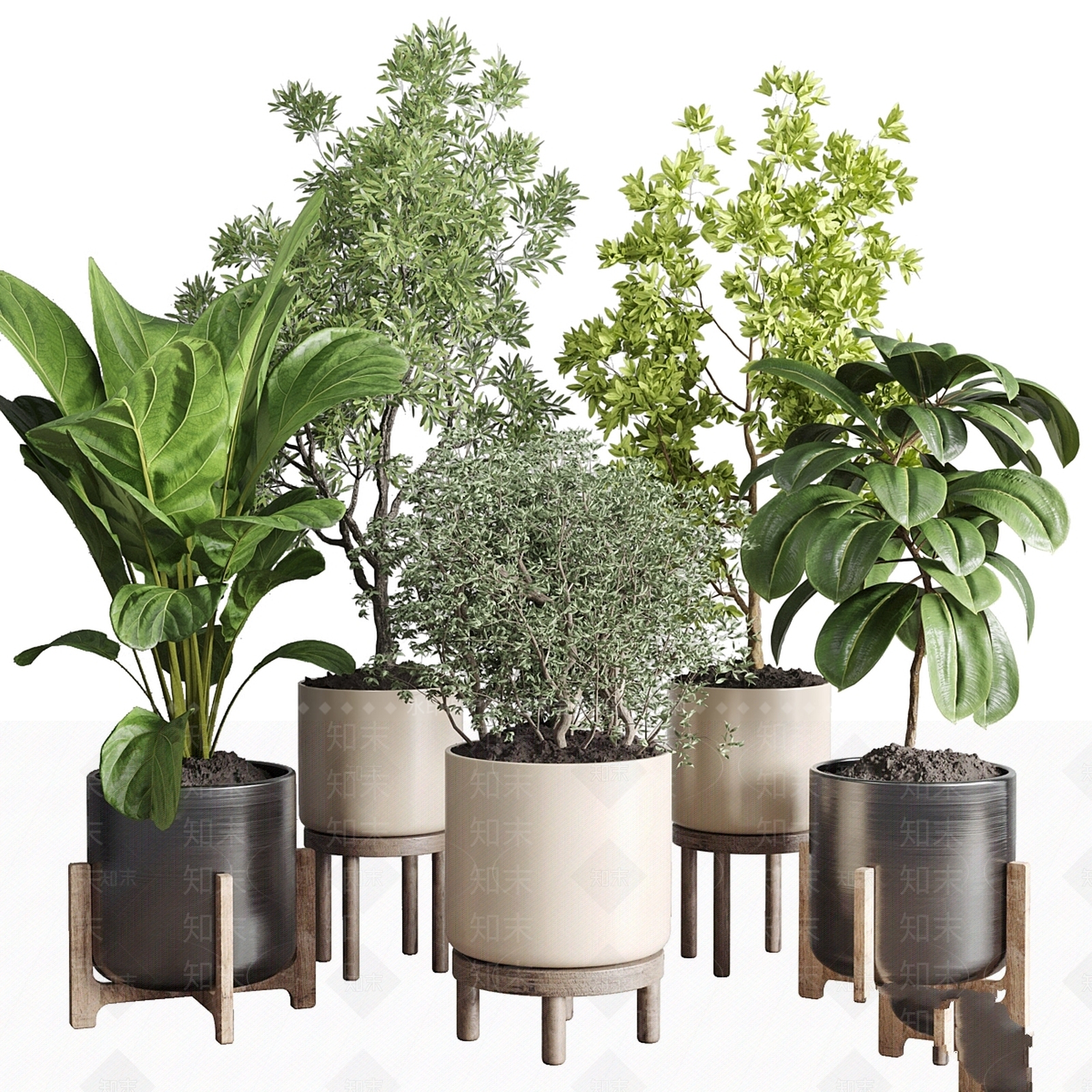 盆栽3D模型下载【ID:1199183335】