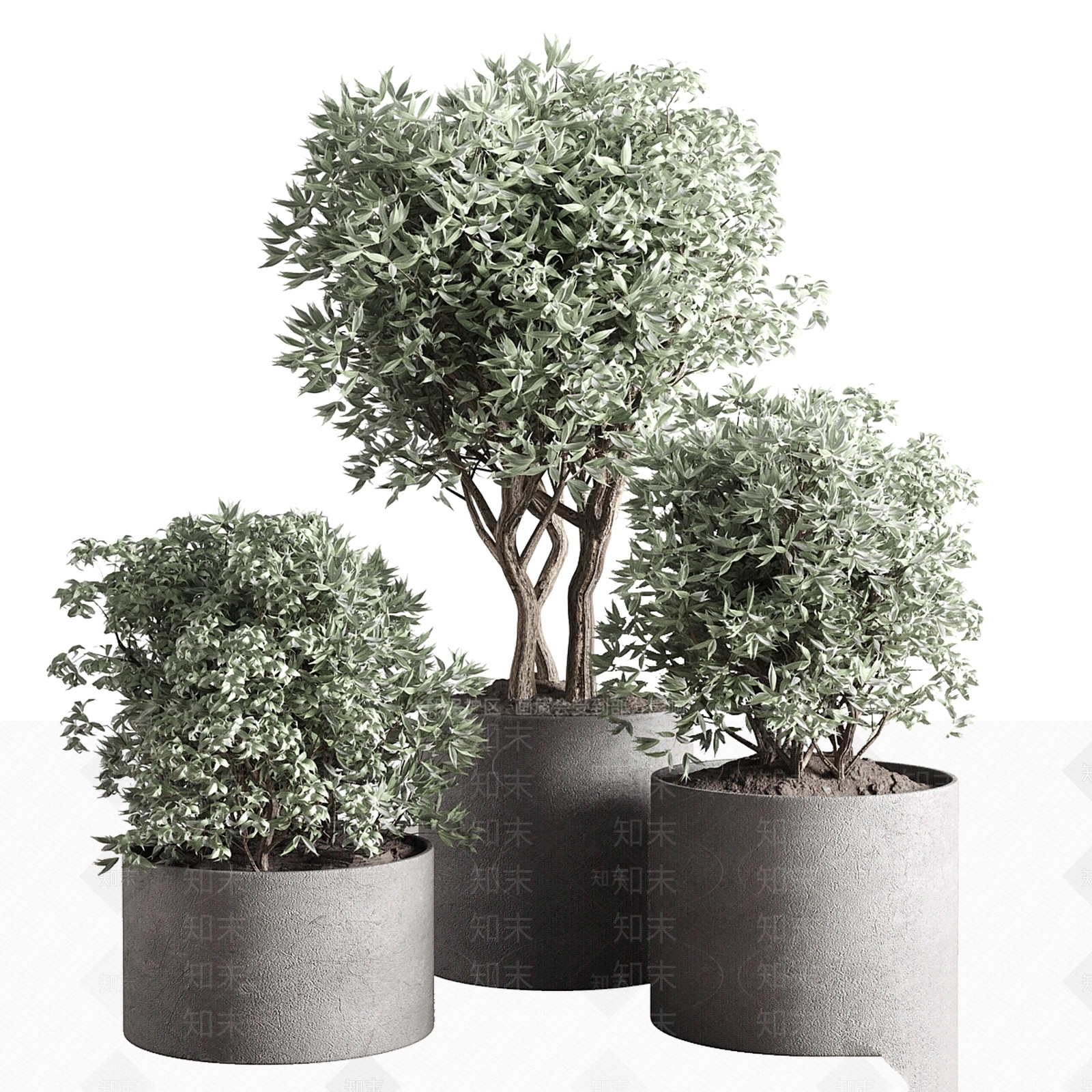其他绿植3D模型下载【ID:1199224013】