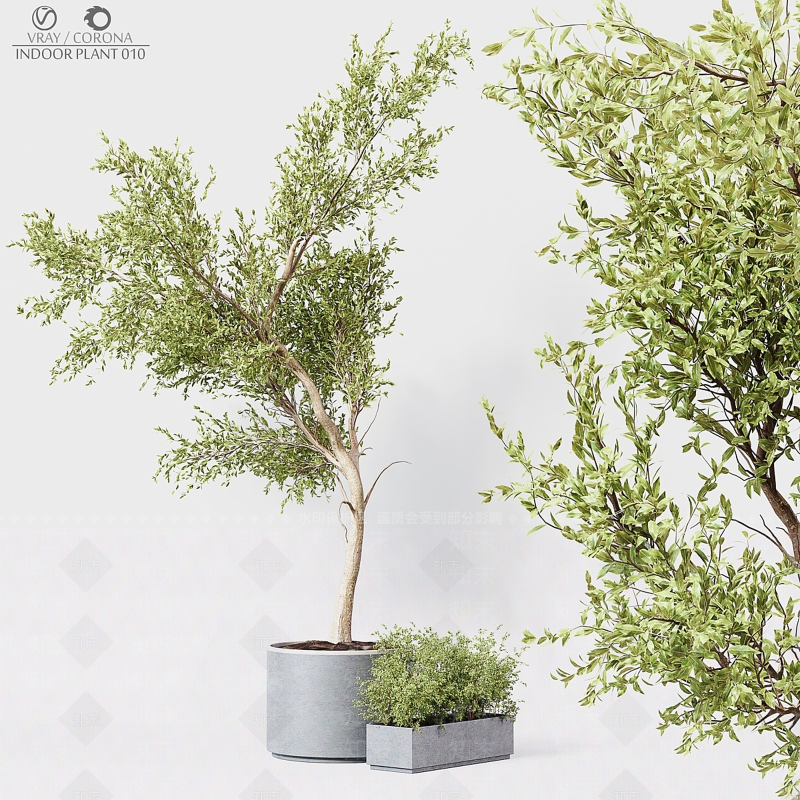 盆栽3D模型下载【ID:1199227793】
