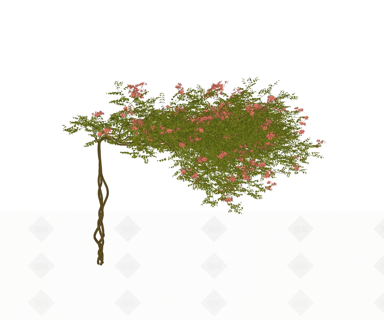 藤蔓SU模型下载【ID:1199239347】