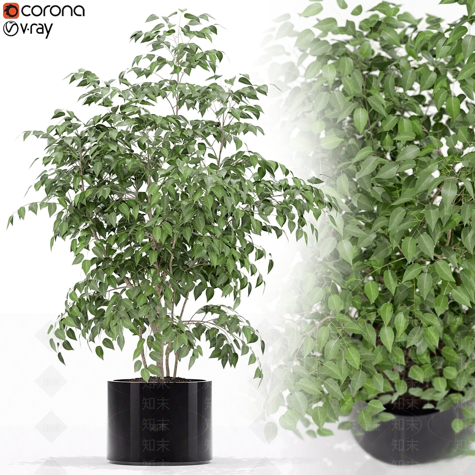 盆栽3D模型下载【ID:1199251644】