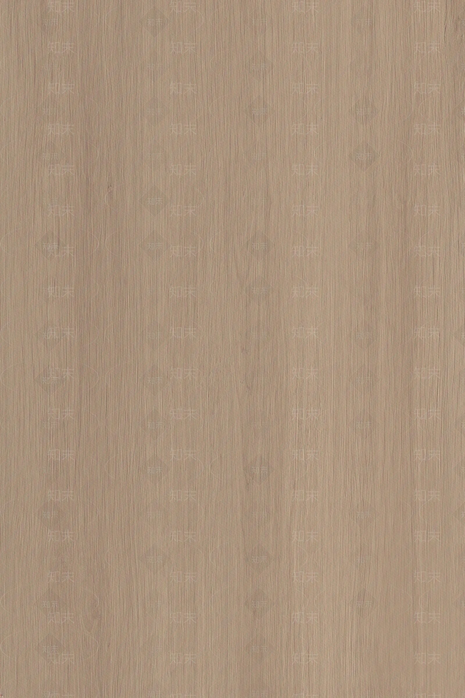 现代简约橡木木纹贴图下载【ID:1199279076】