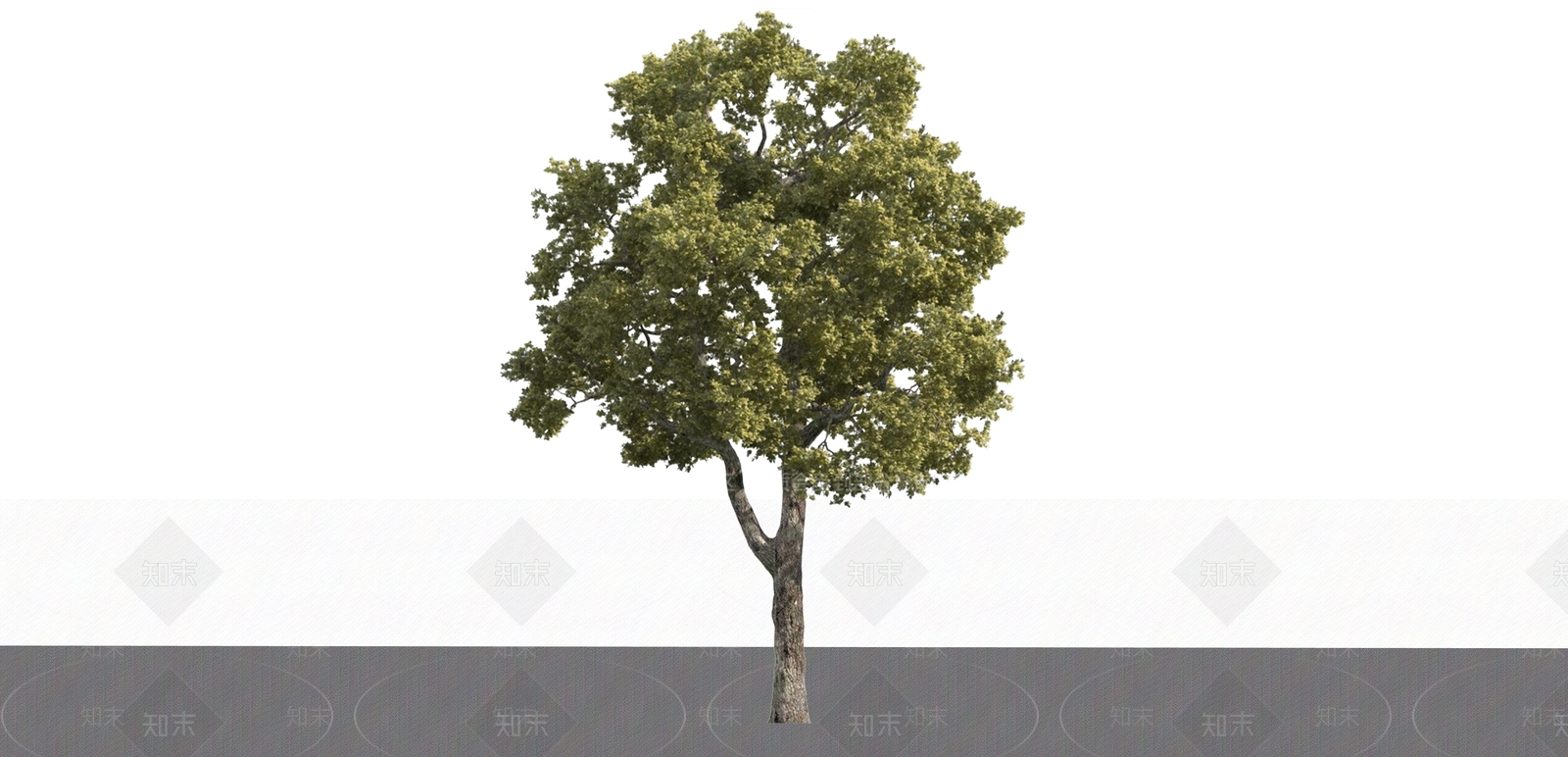 乔木SU模型下载【ID:1199287196】