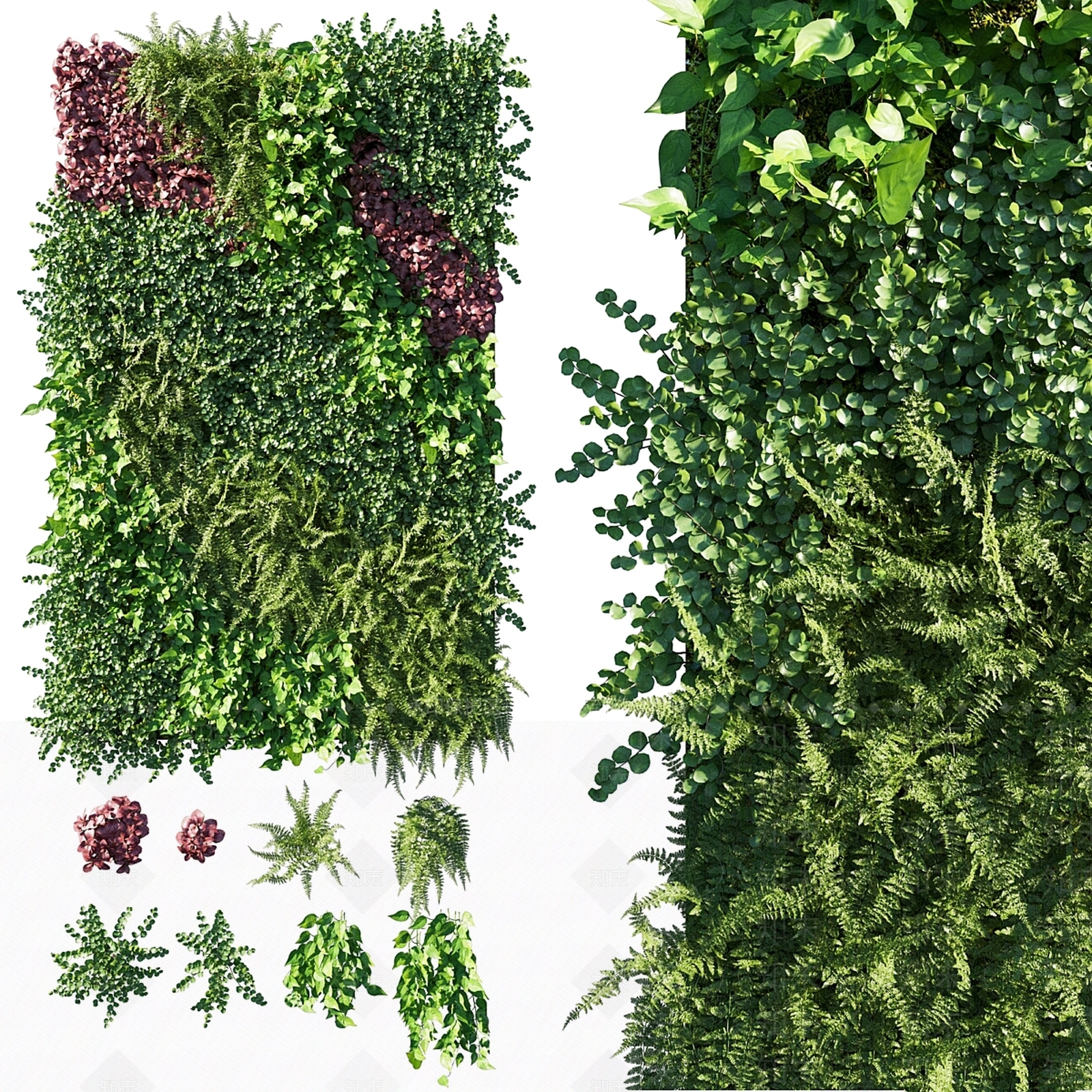 绿植墙3D模型下载【ID:1199296811】