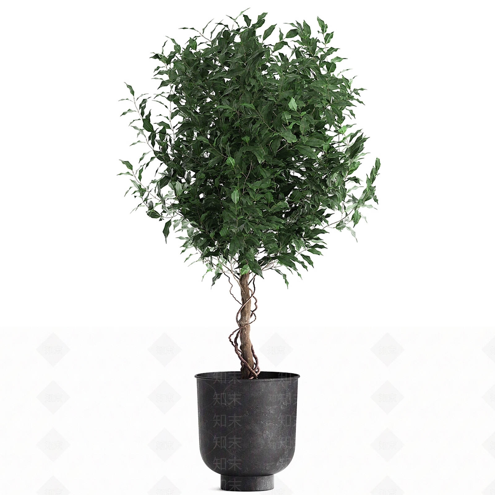 盆栽3D模型下载【ID:1199301283】