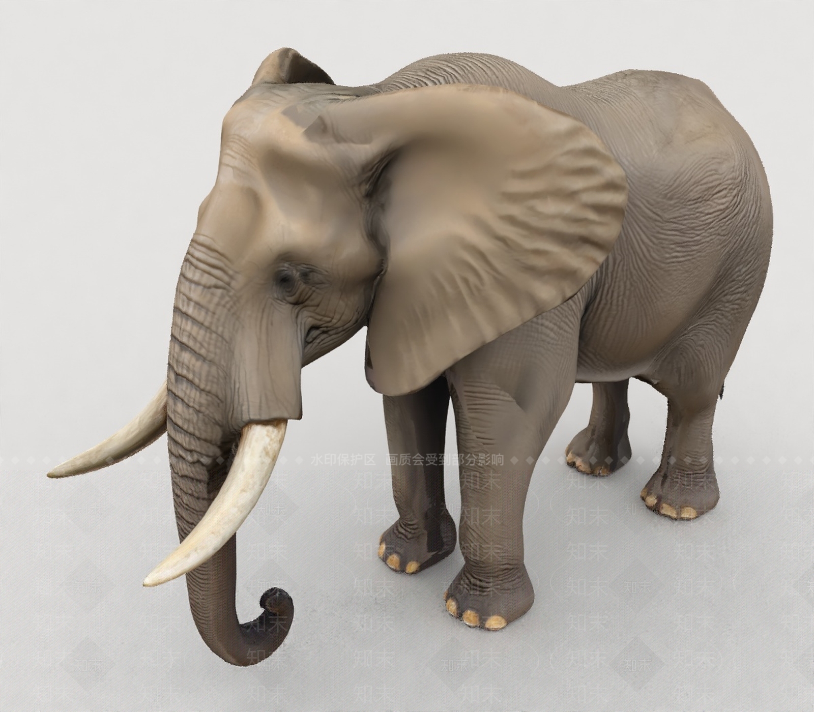 其他动物3D模型下载【ID:1199303870】