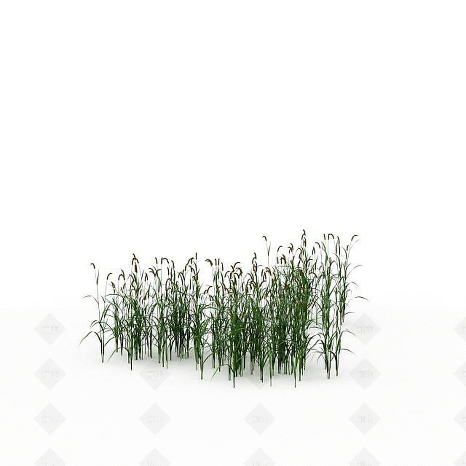 现代绿色狗尾草3D模型下载【ID:1199316652】