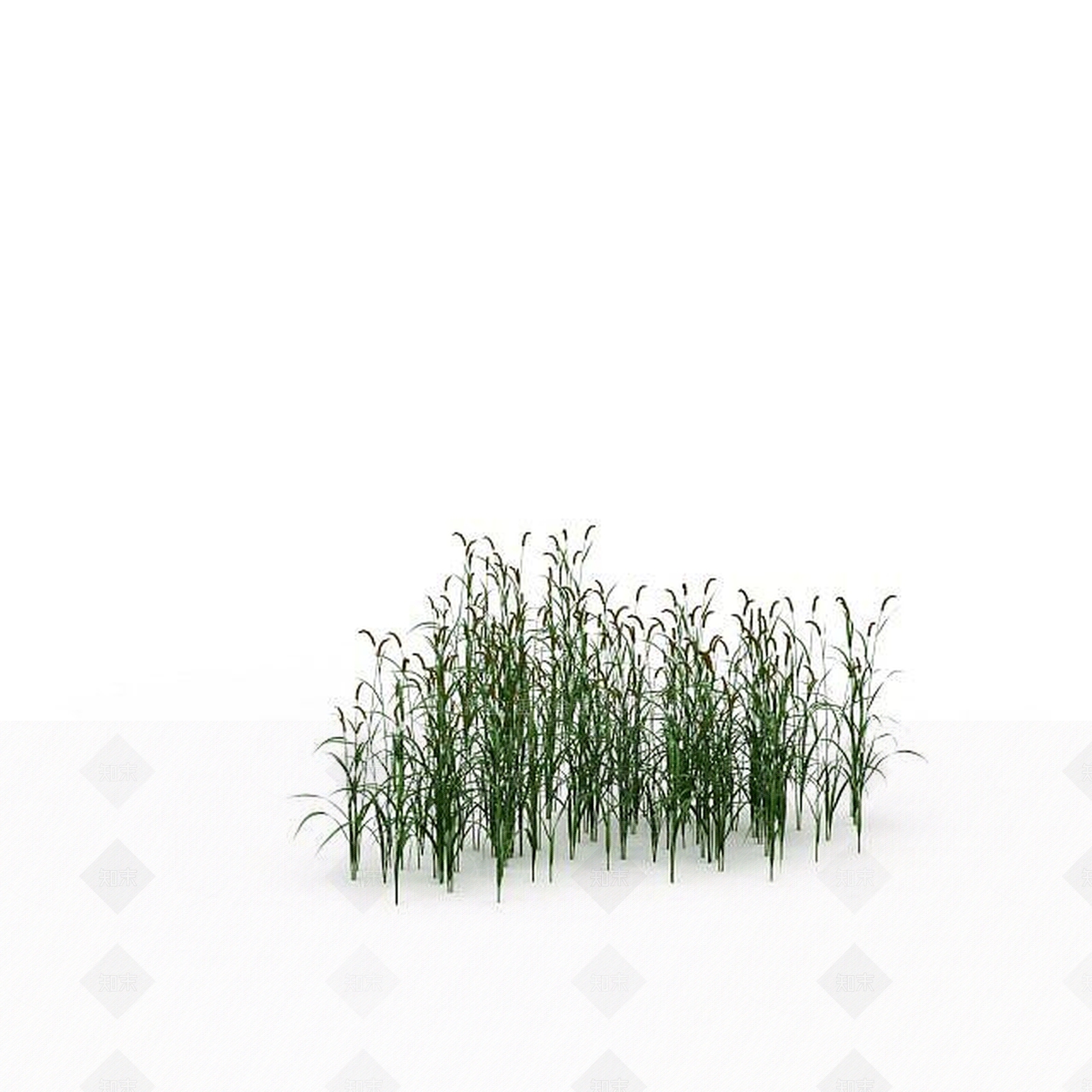 现代绿色狗尾草3D模型下载【ID:1199316652】