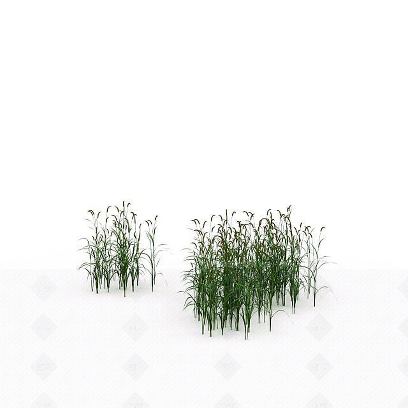 现代绿色狗尾草3D模型下载【ID:1199316652】