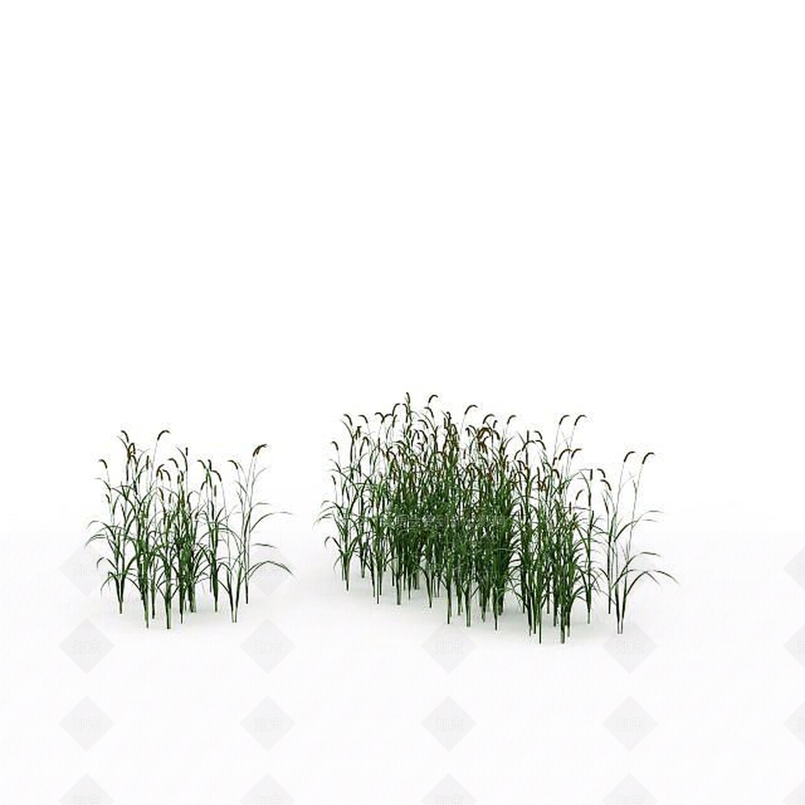 现代绿色狗尾草3D模型下载【ID:1199316652】