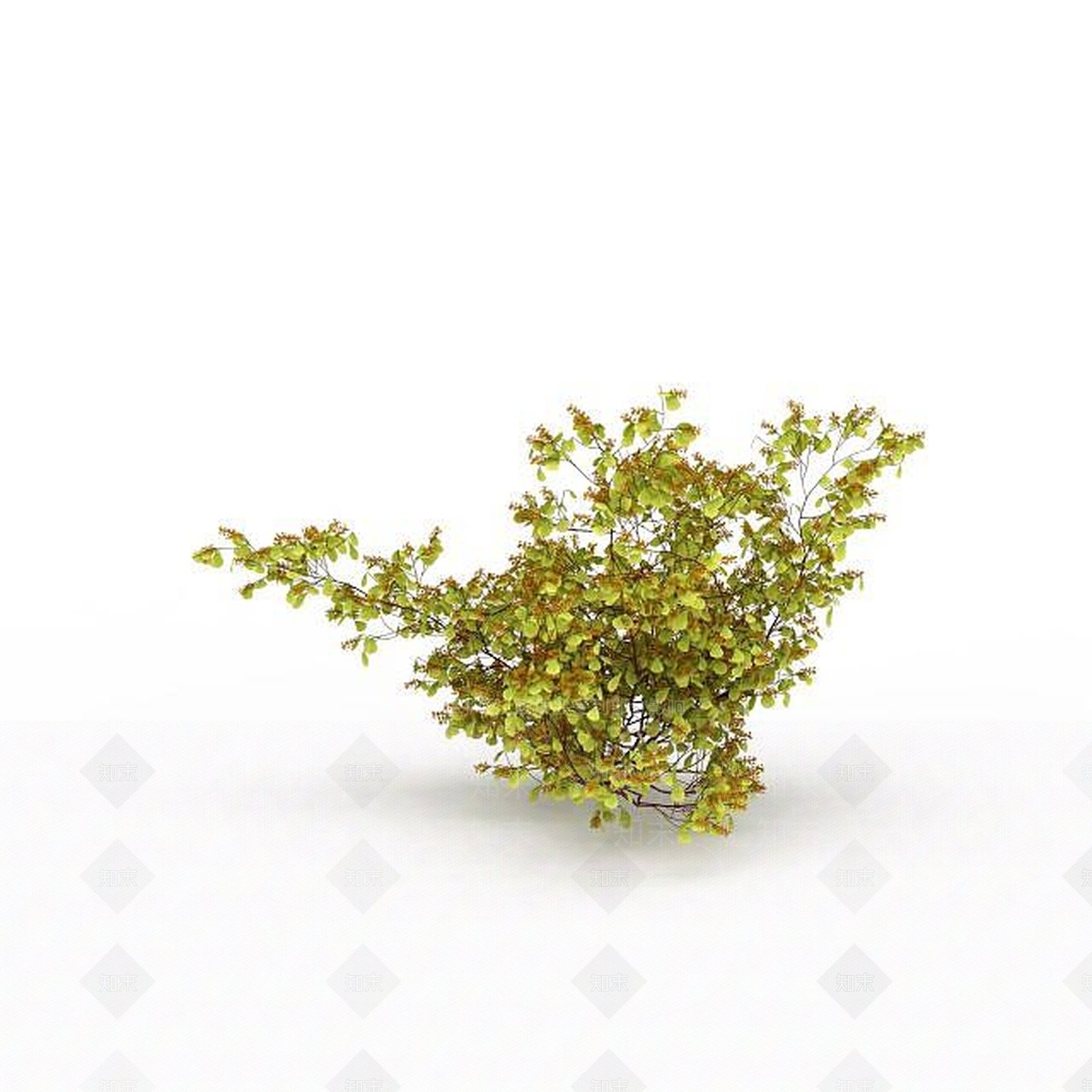 现代公园景观植被3D模型下载【ID:1199333737】