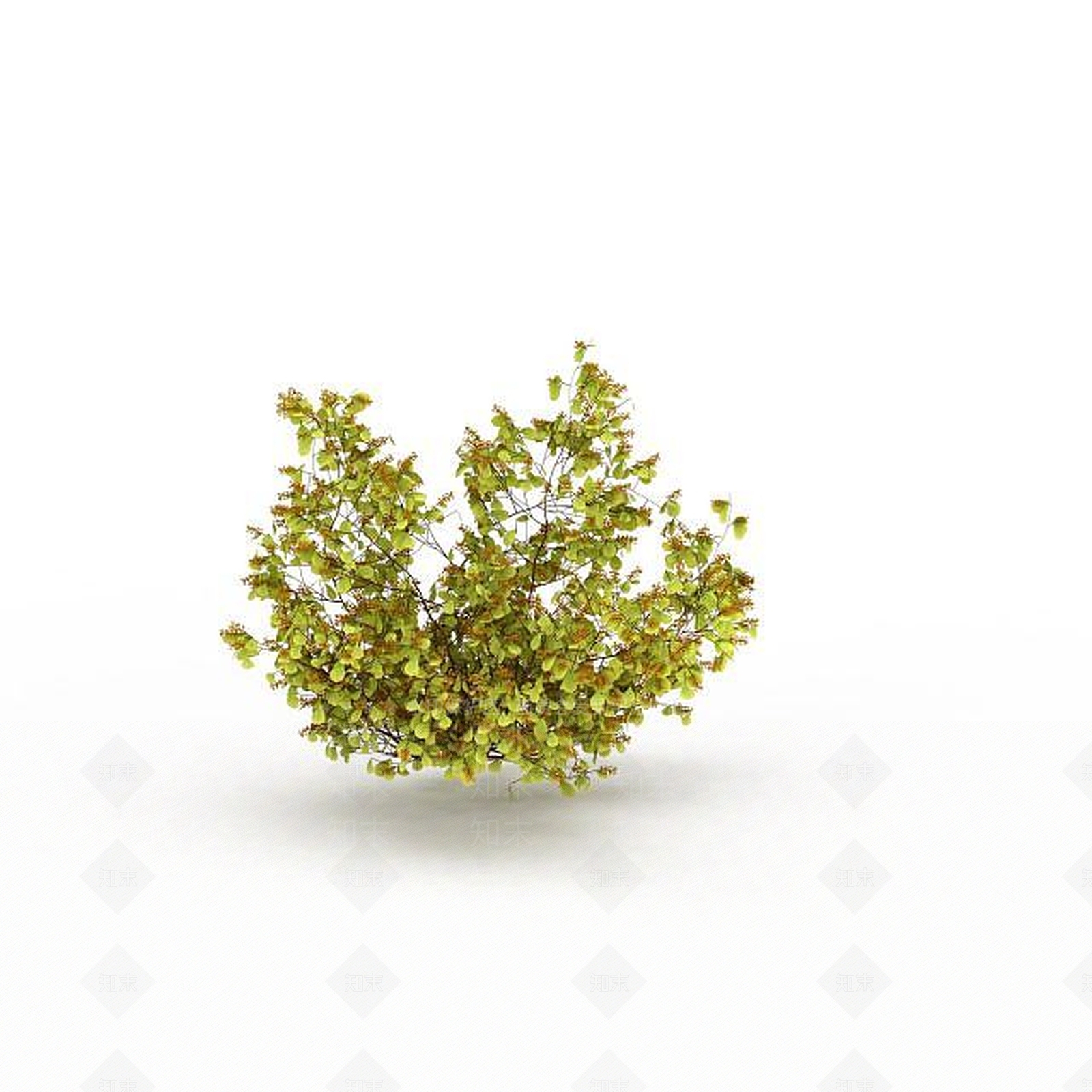 现代公园景观植被3D模型下载【ID:1199333737】