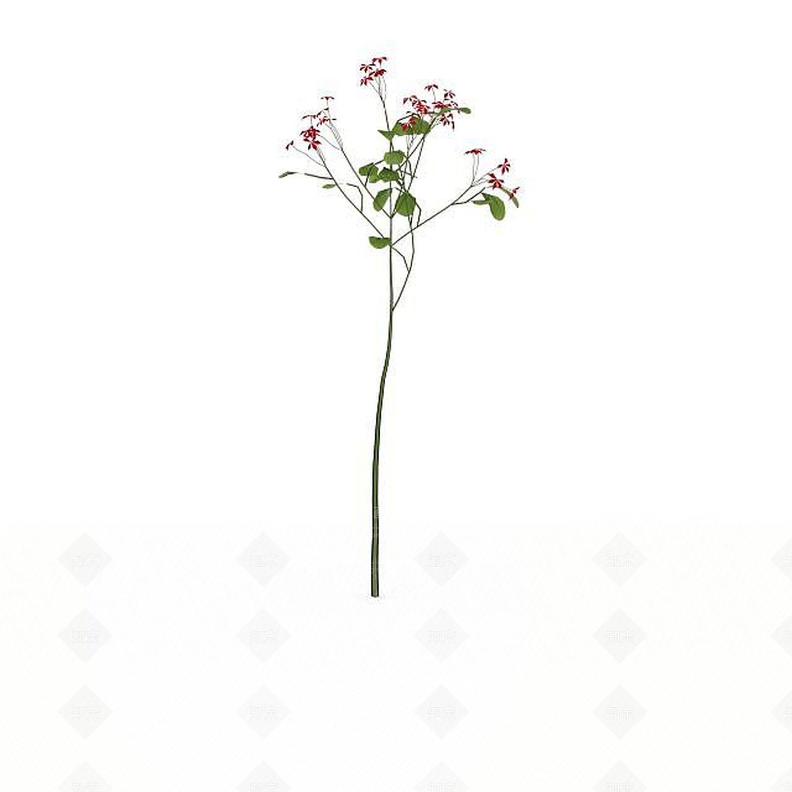 现代景观花草3D模型下载【ID:1199335439】