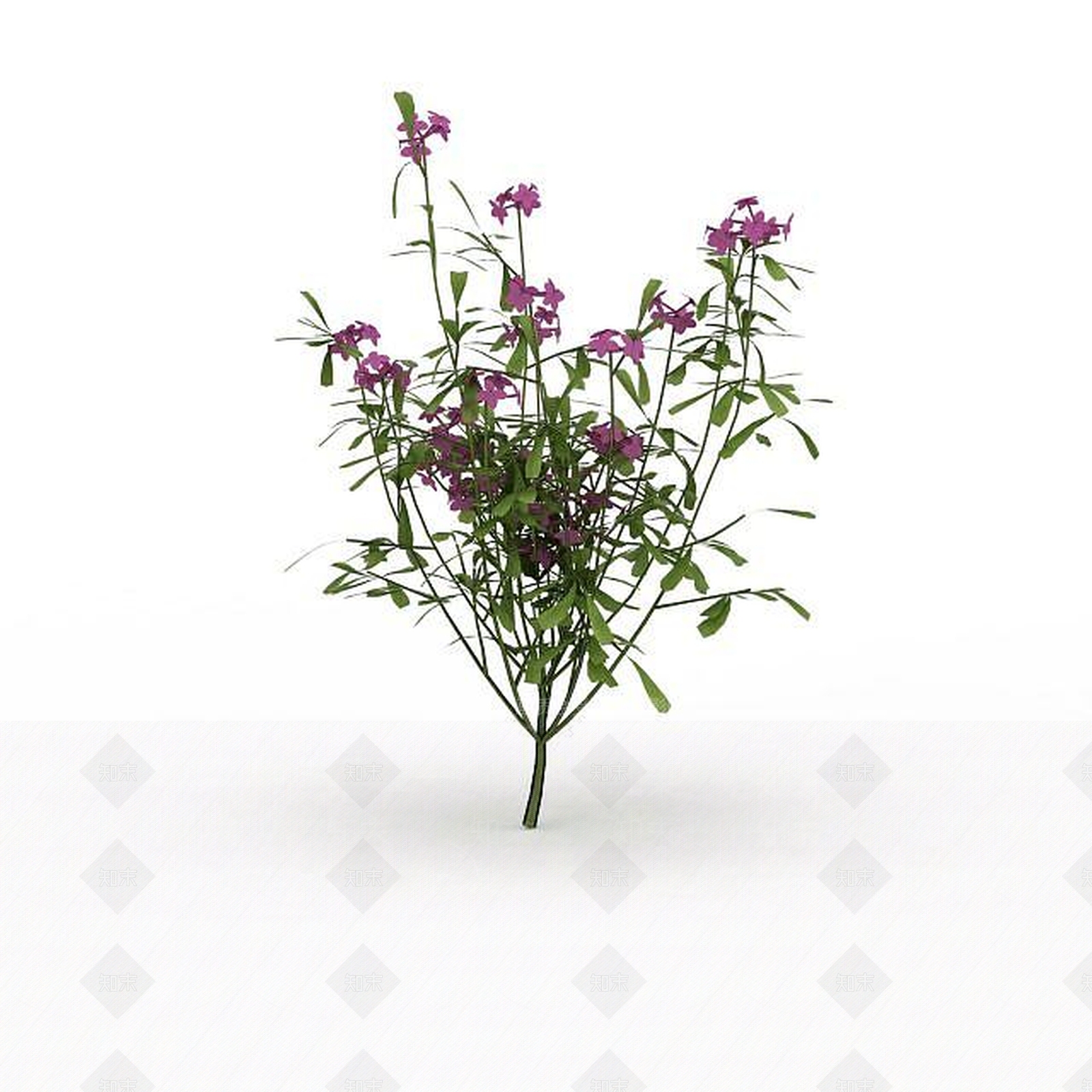 园林花草3D模型下载【ID:1199335910】