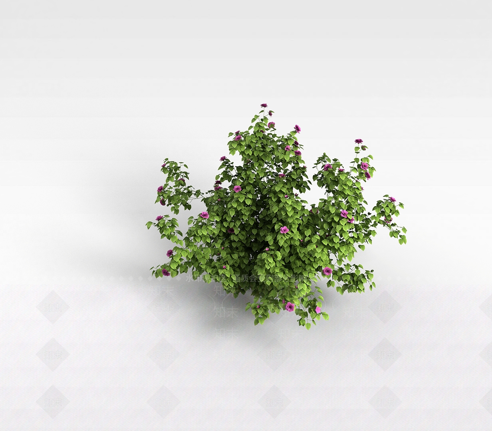 现代落叶绿植3D模型下载【ID:1199335944】