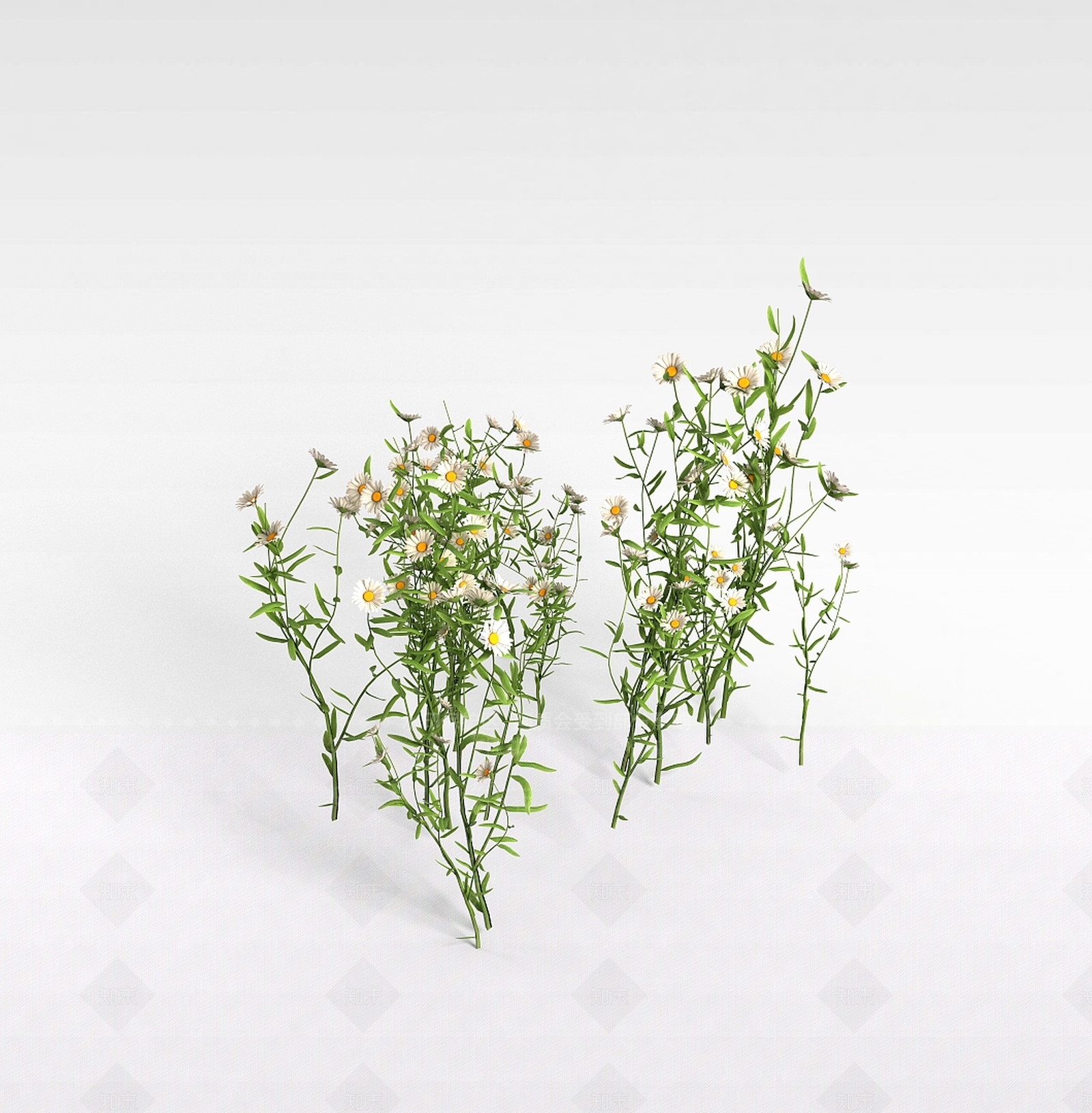 现代公园观赏植被3D模型下载【ID:1199336058】