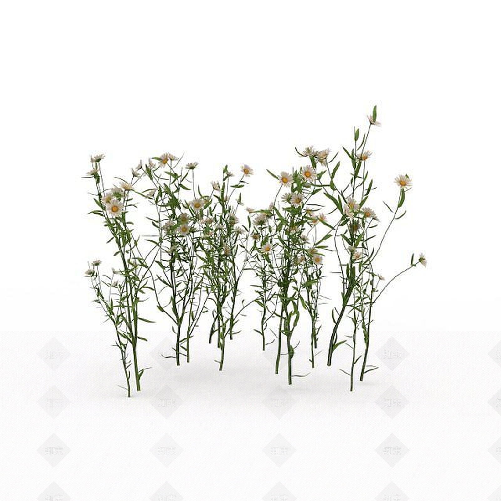 现代公园观赏植被3D模型下载【ID:1199336058】