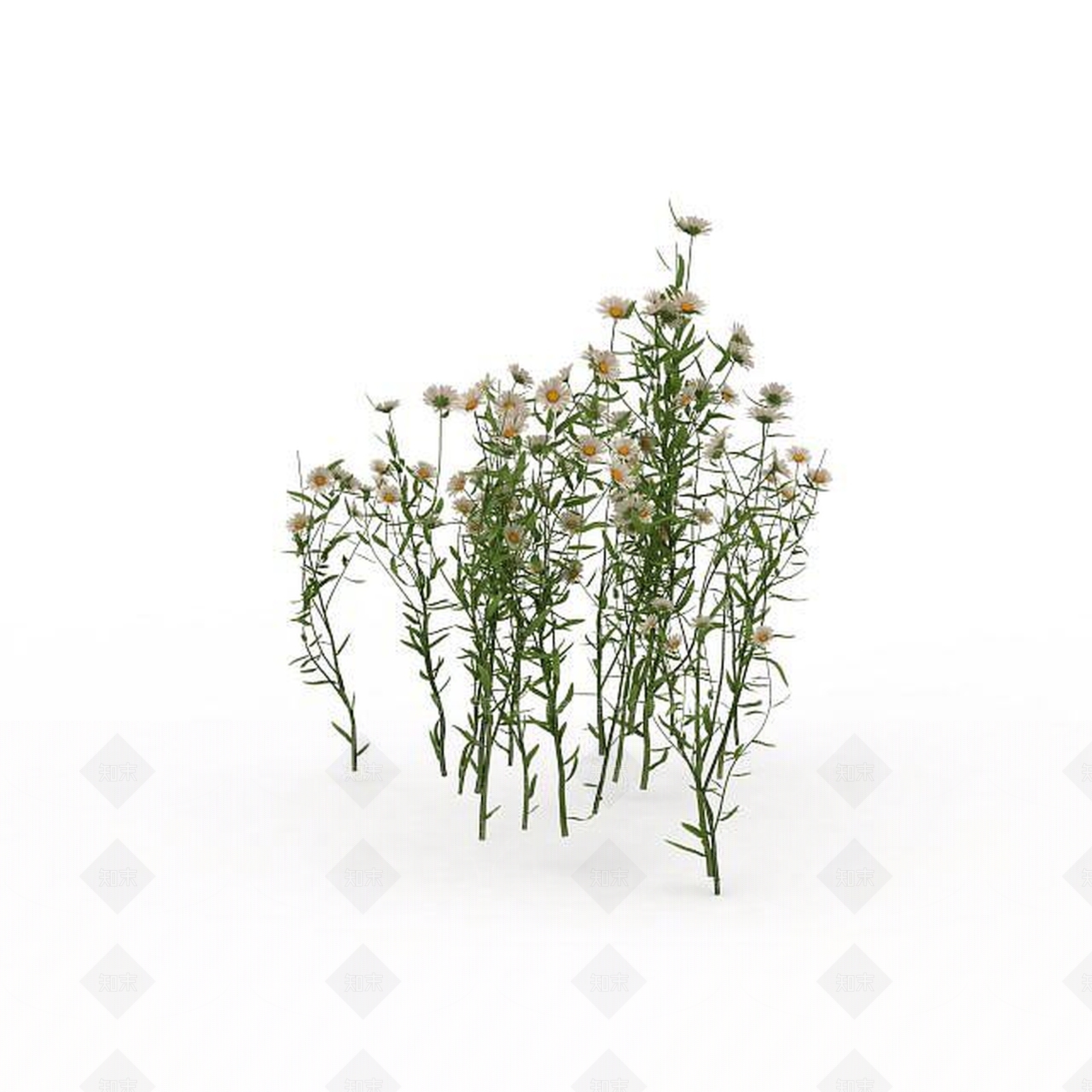 现代公园观赏植被3D模型下载【ID:1199336058】