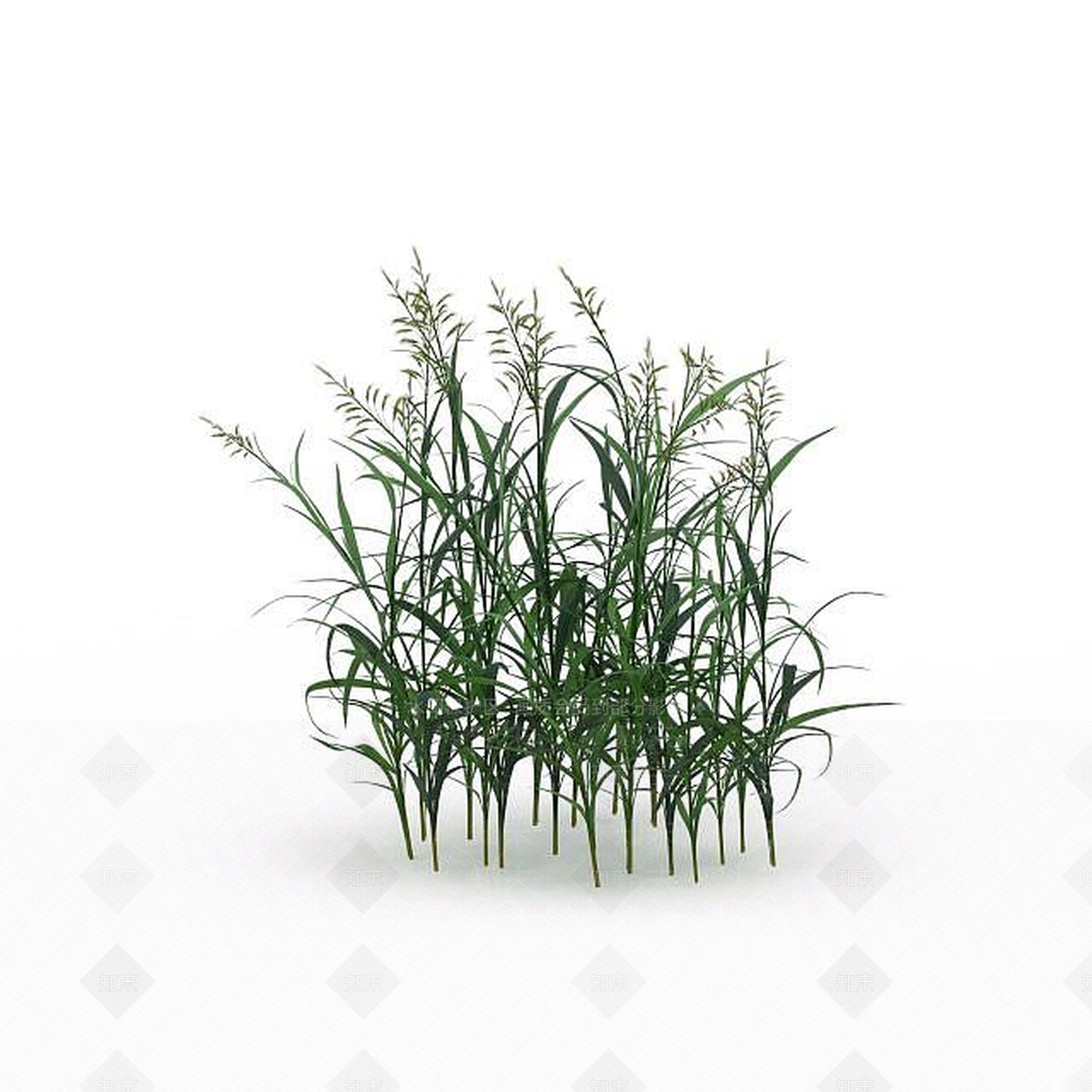 现代绿草3D模型下载【ID:1199336424】