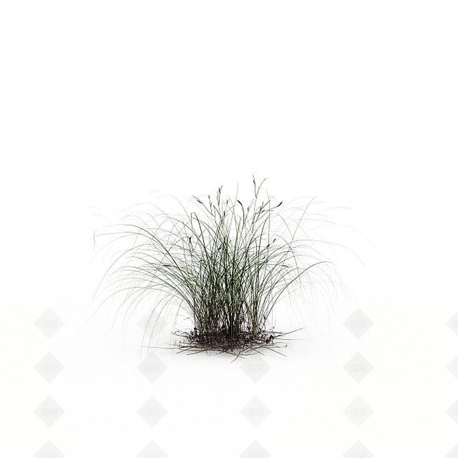 现代野草3D模型下载【ID:1199336555】