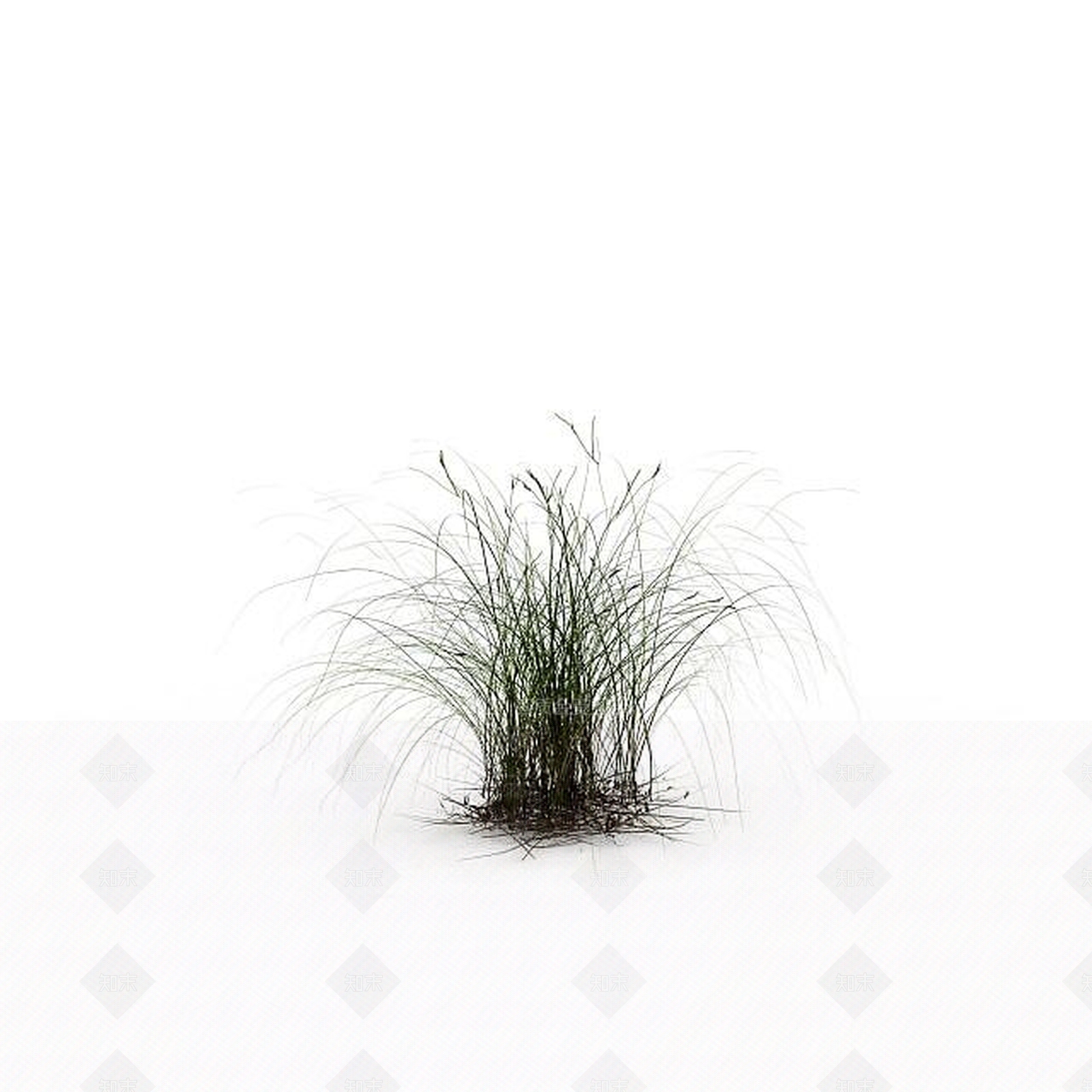 现代野草3D模型下载【ID:1199336555】