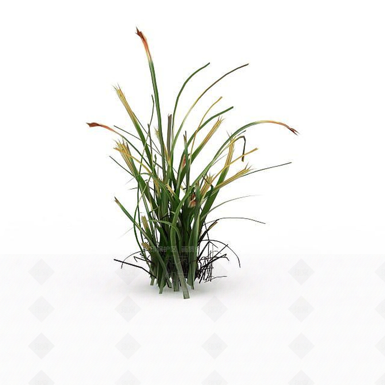 现代黄花3D模型下载【ID:1199336527】