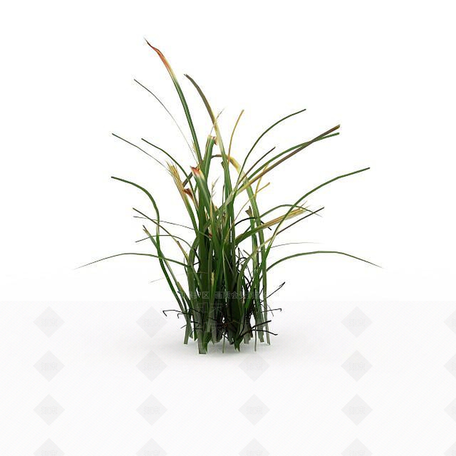 现代黄花3D模型下载【ID:1199336527】