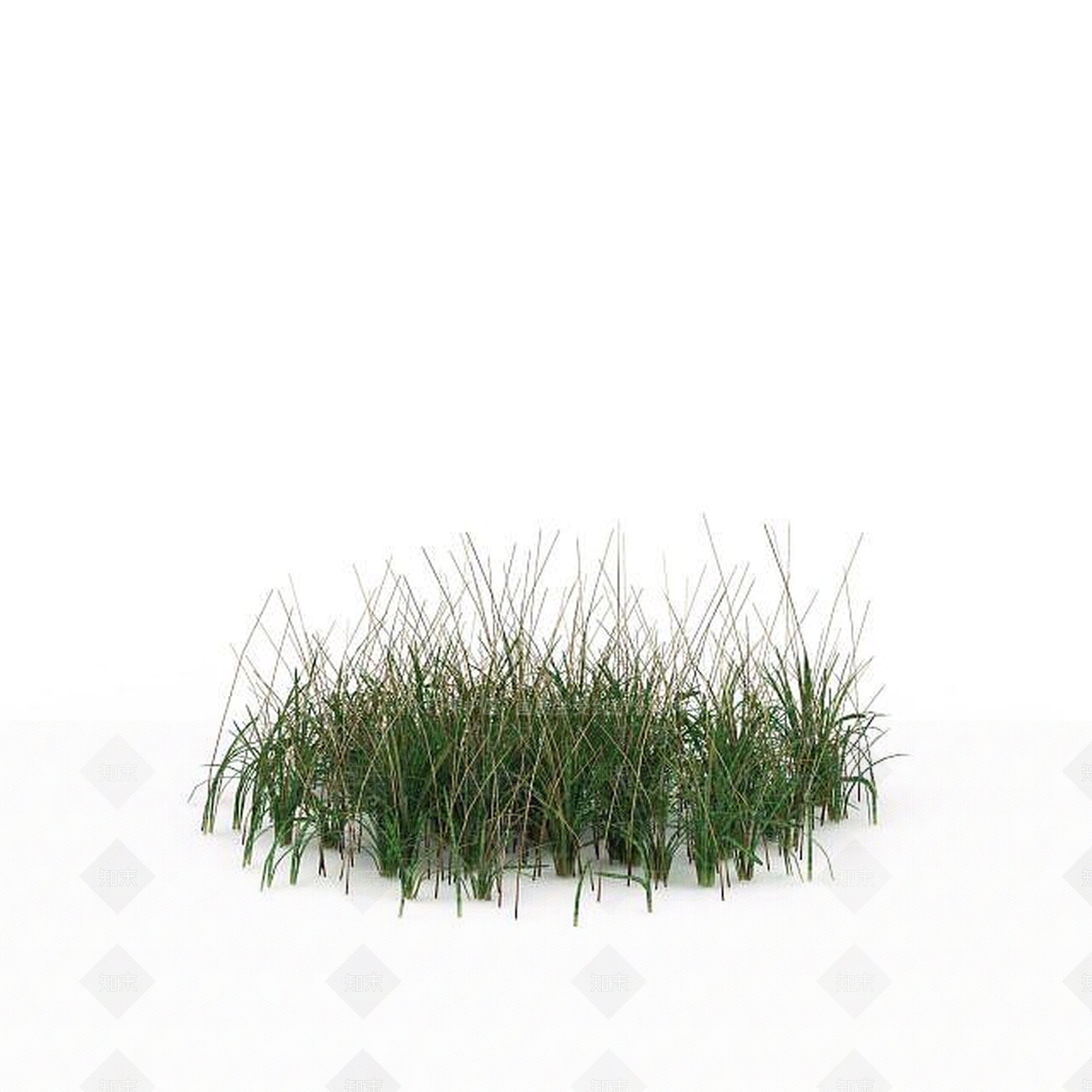 现代野草丛3D模型下载【ID:1199336569】