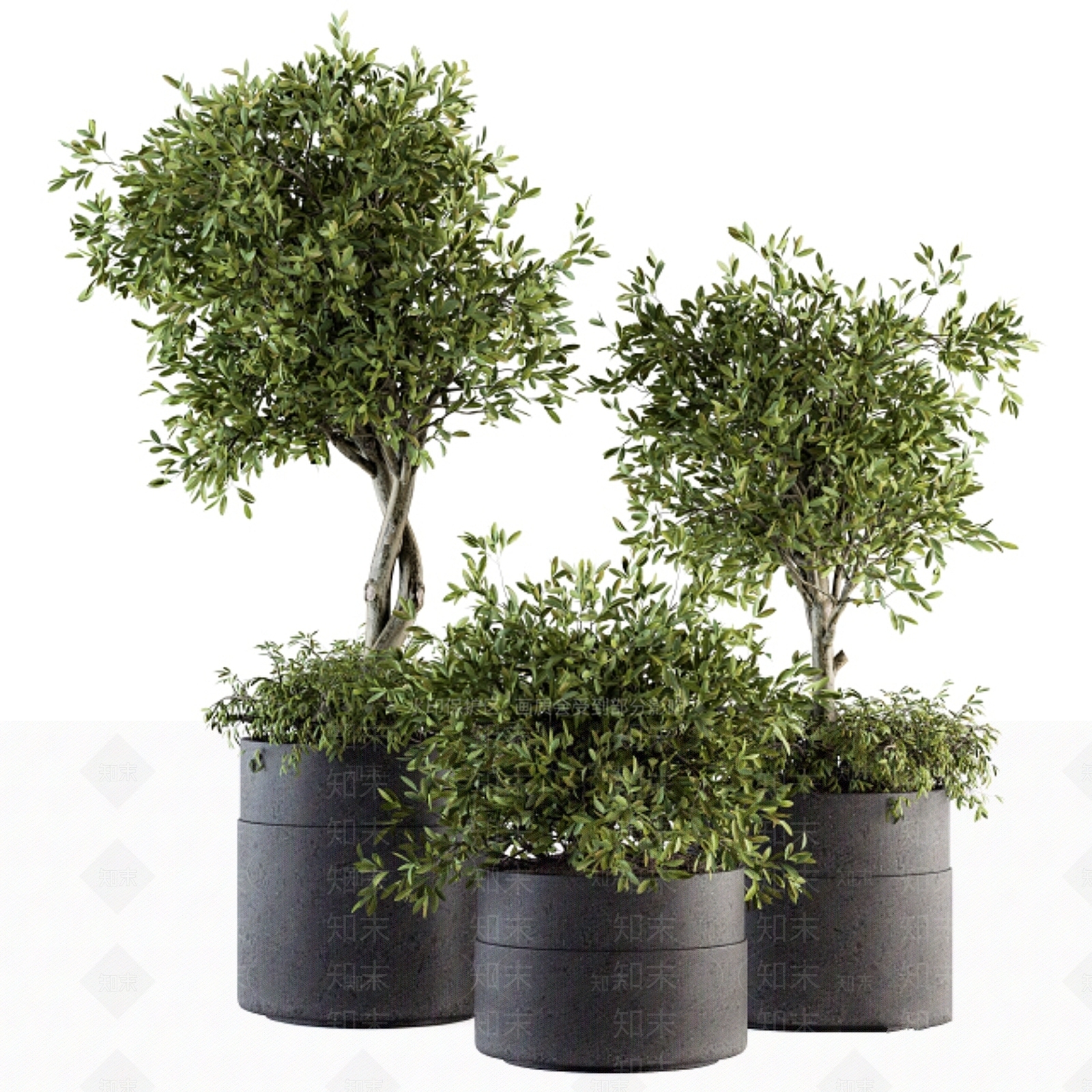 盆栽3D模型下载【ID:1199338326】