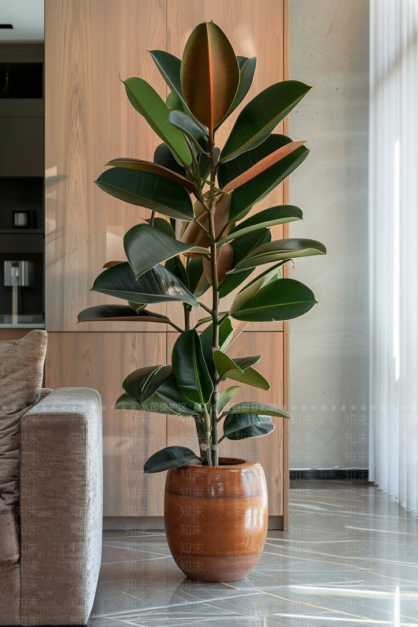 盆栽SU模型下载【ID:1199374987】