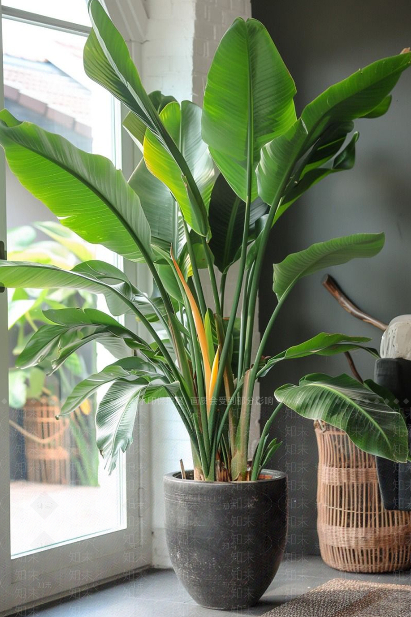 盆栽3D模型下载【ID:1199392830】