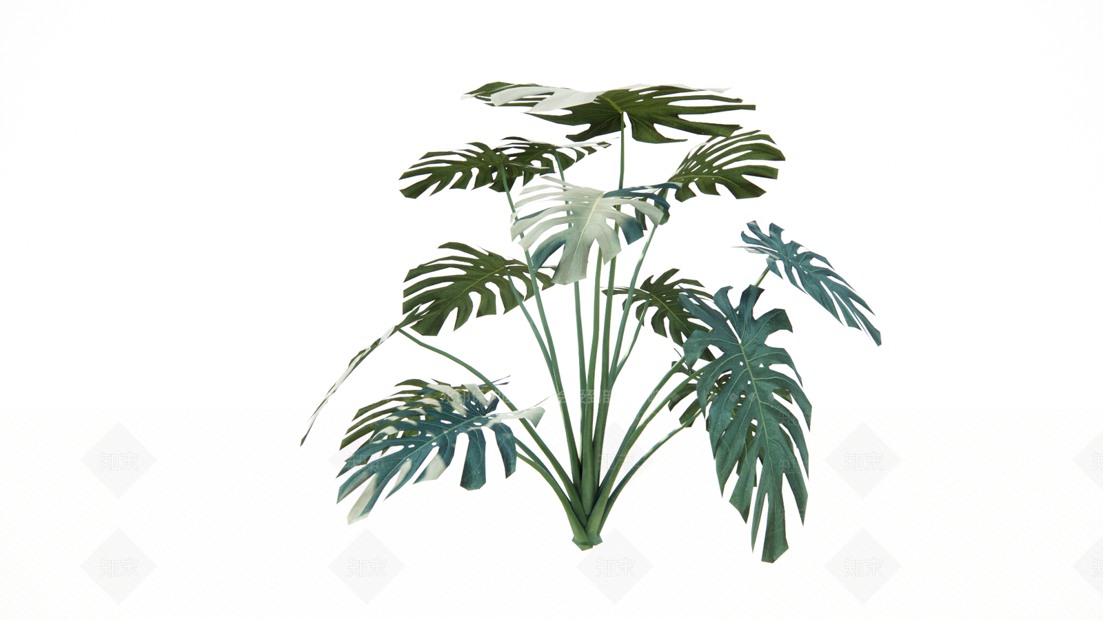 花草SU模型草图
