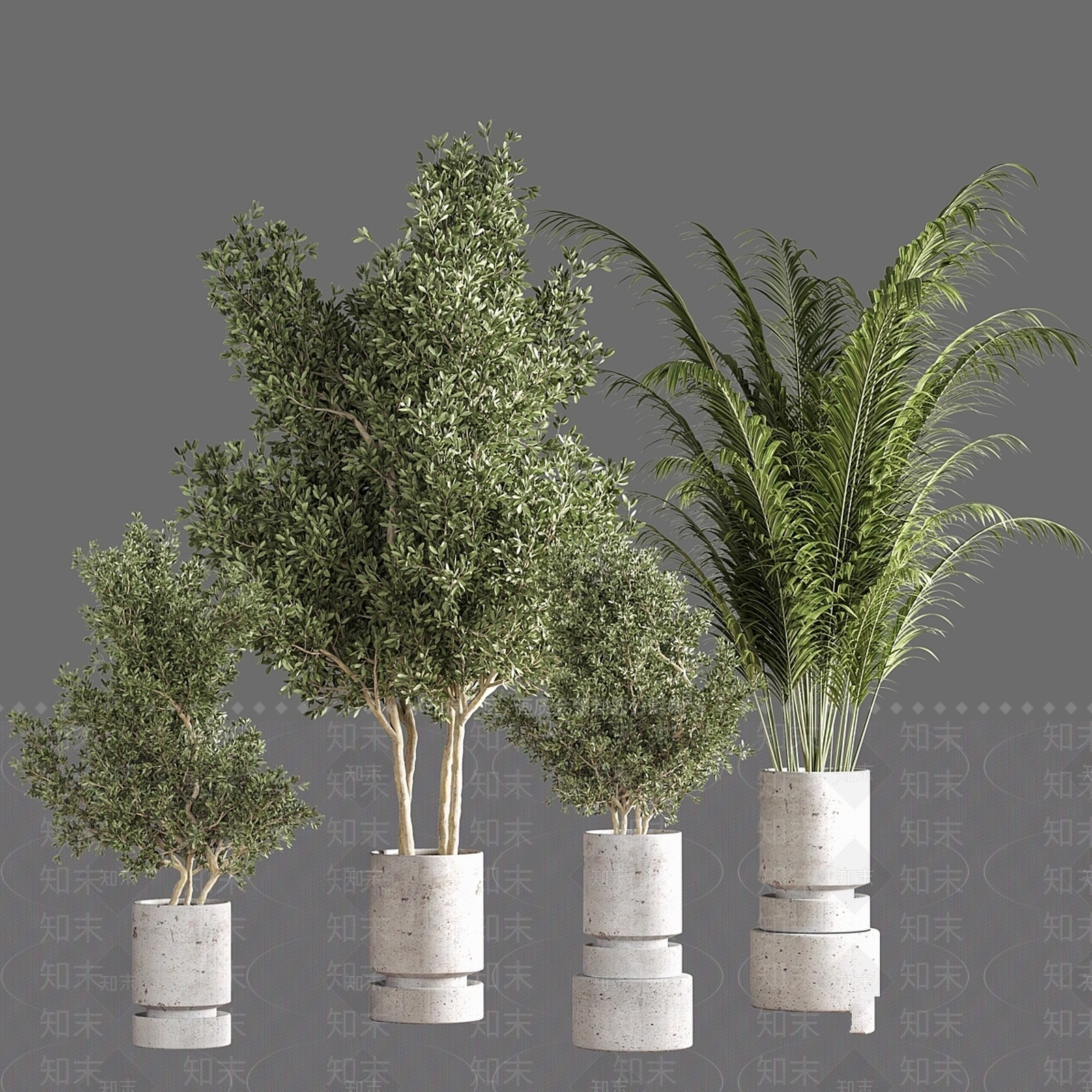 盆栽3D模型下载【ID:1199415995】