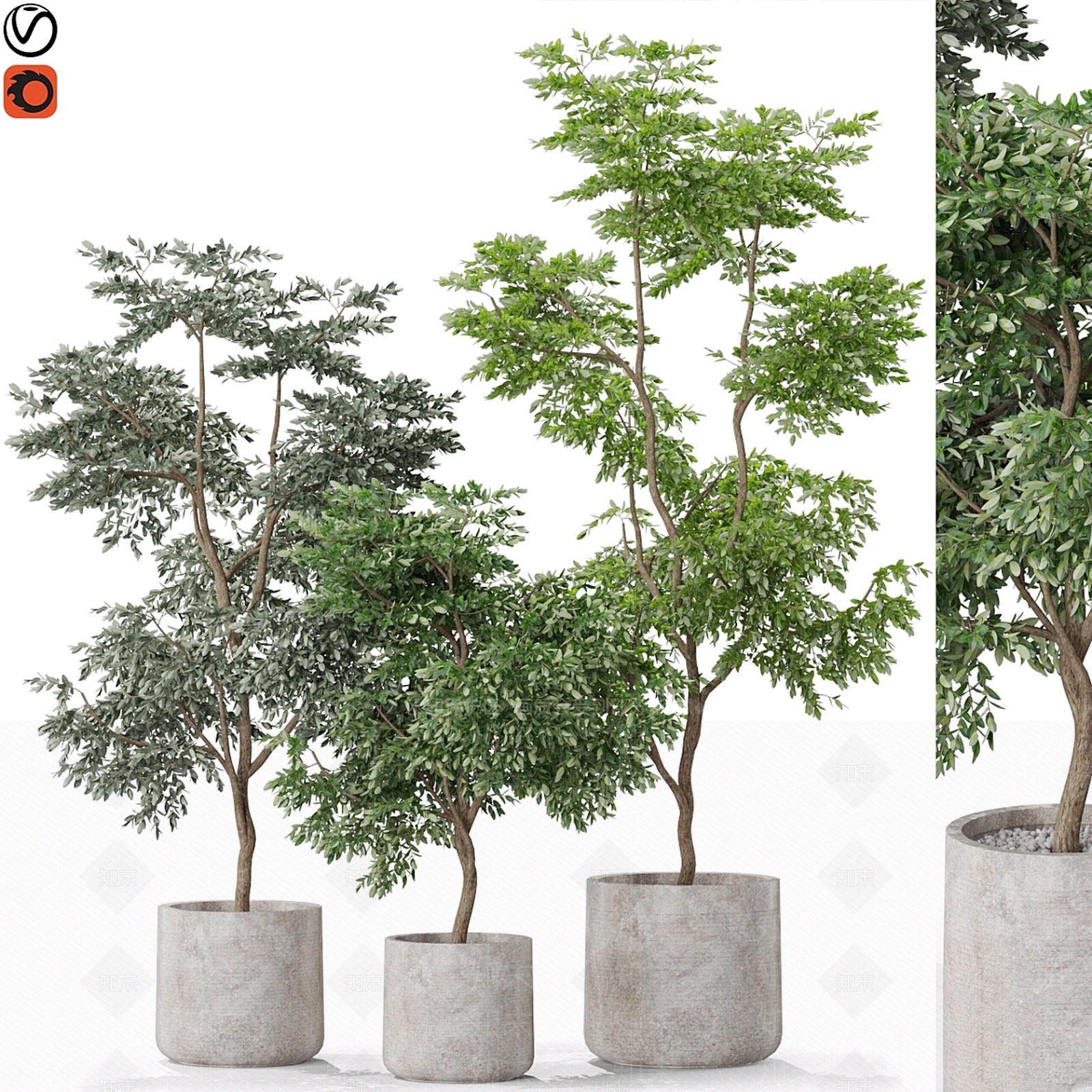 盆栽3D模型下载【ID:1199435227】