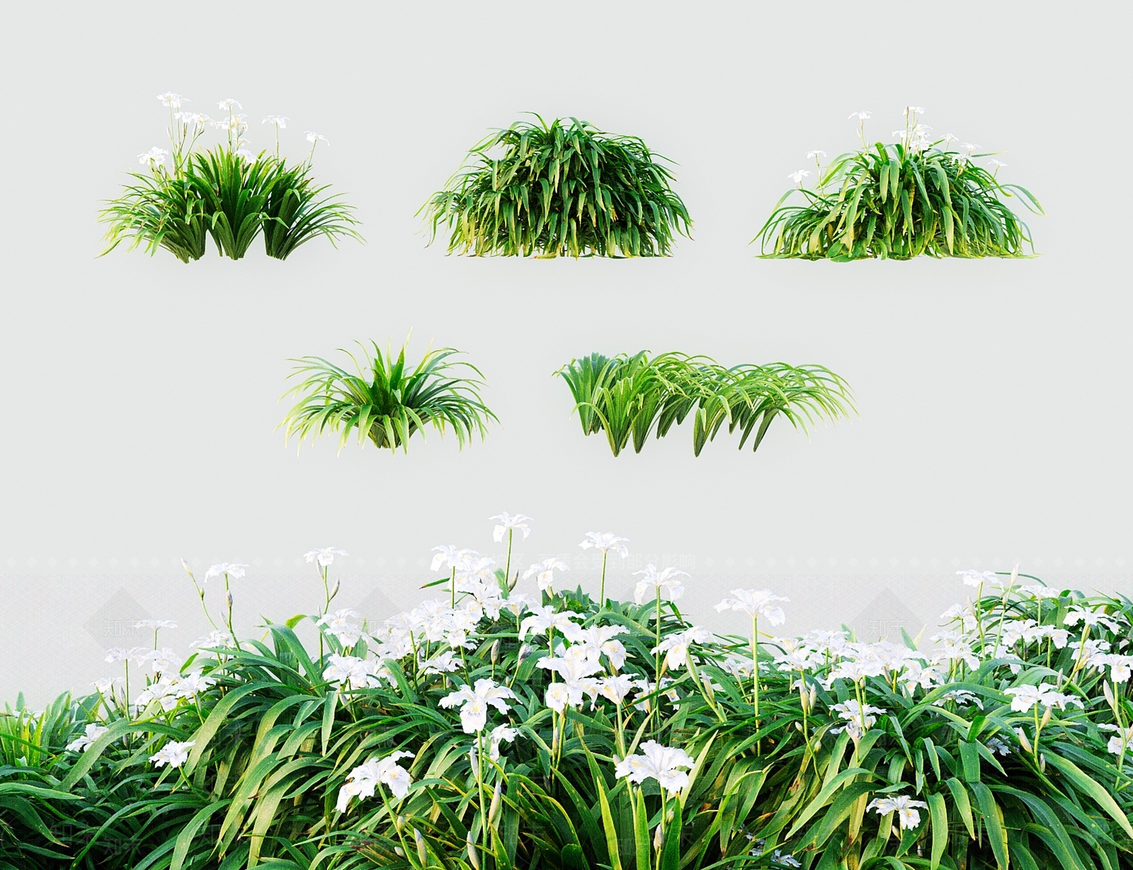 花草组合3D模型下载【ID:1199440237】