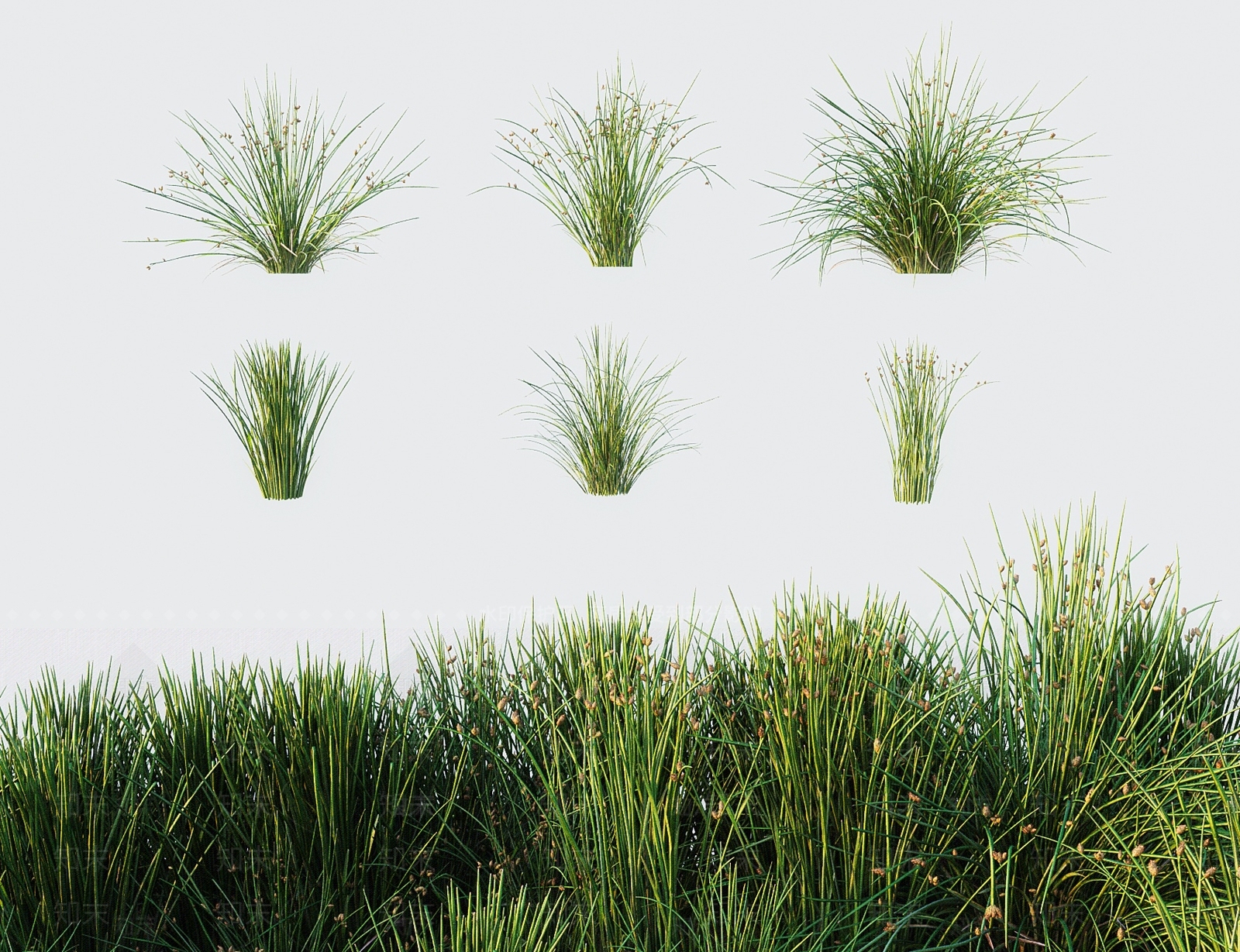 花草组合3D模型下载【ID:1199441444】