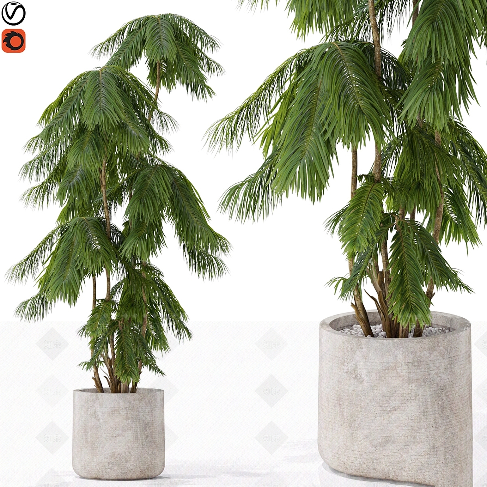 盆栽3D模型下载【ID:1199452954】