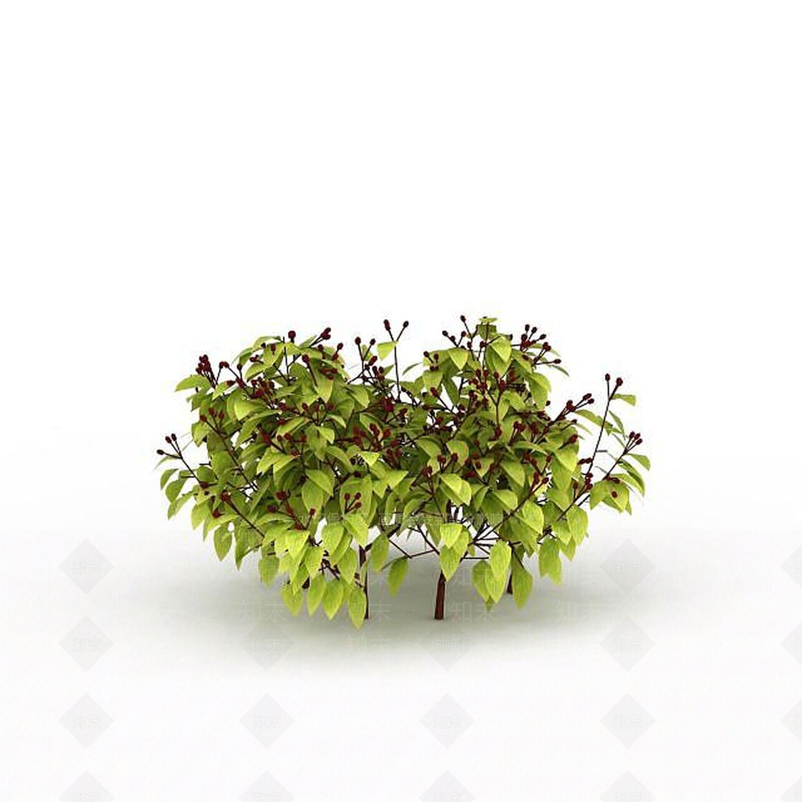 现代灌木丛3D模型下载【ID:1199460285】