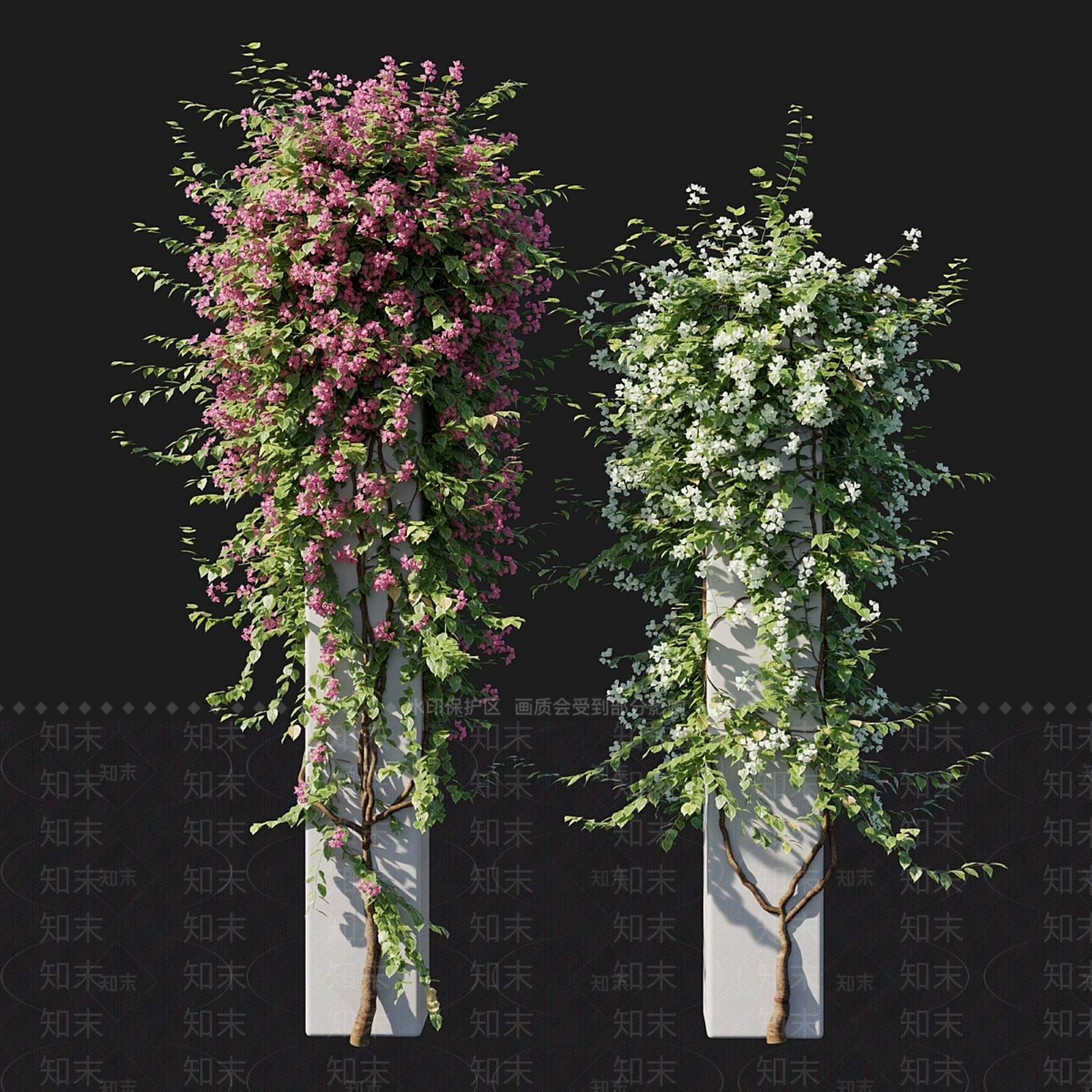 其他绿植3D模型下载【ID:1199468694】