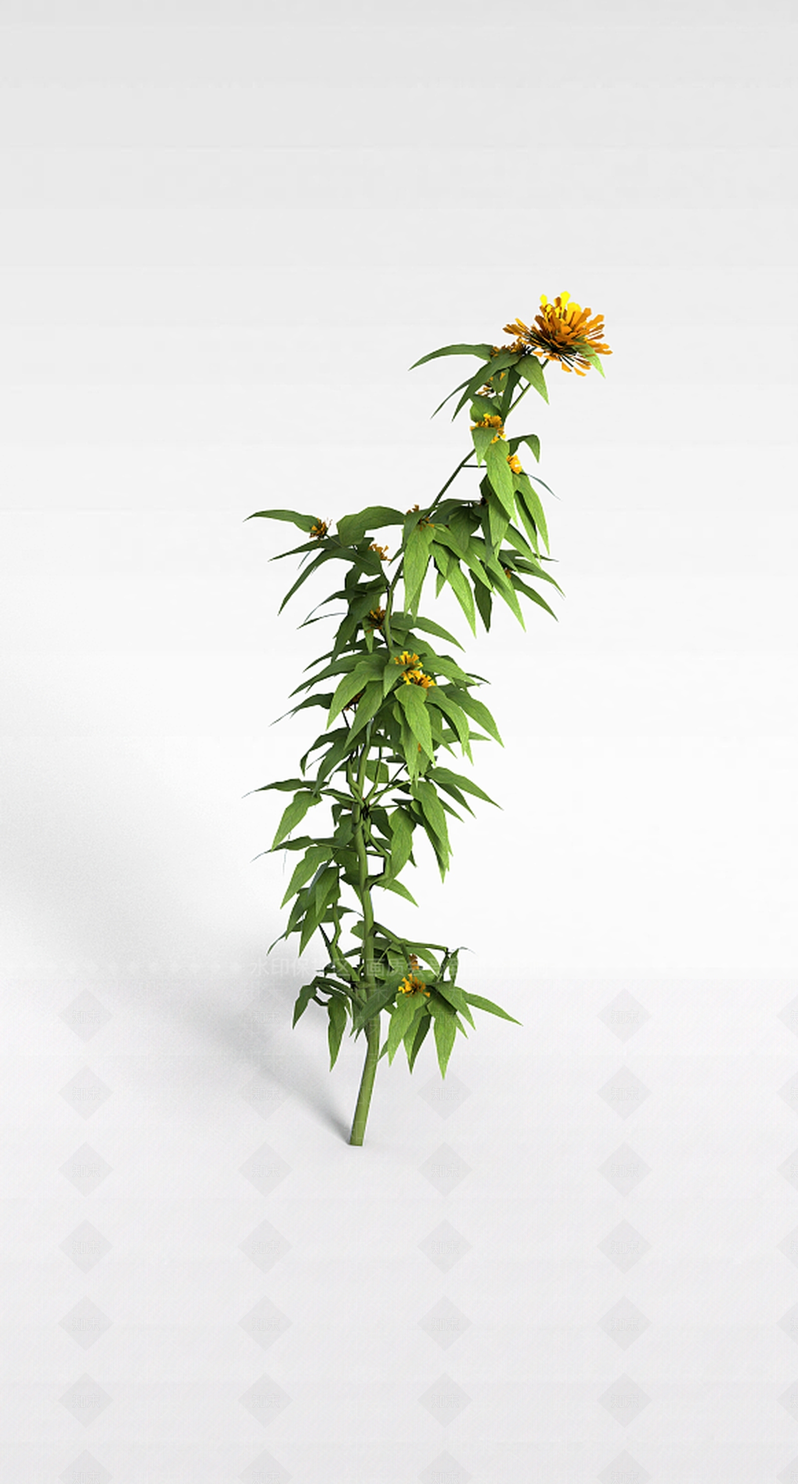 现代花枝3D模型下载【ID:1199469060】
