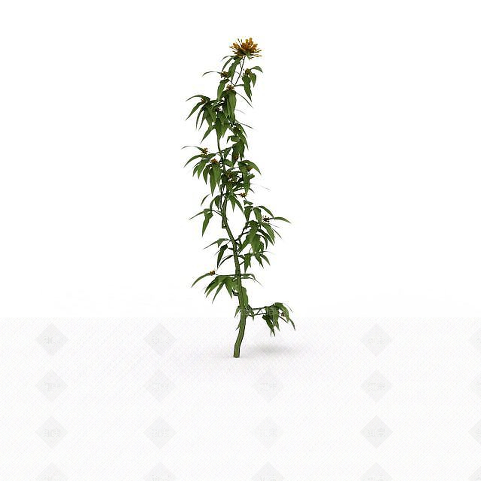 现代花枝3D模型下载【ID:1199469060】