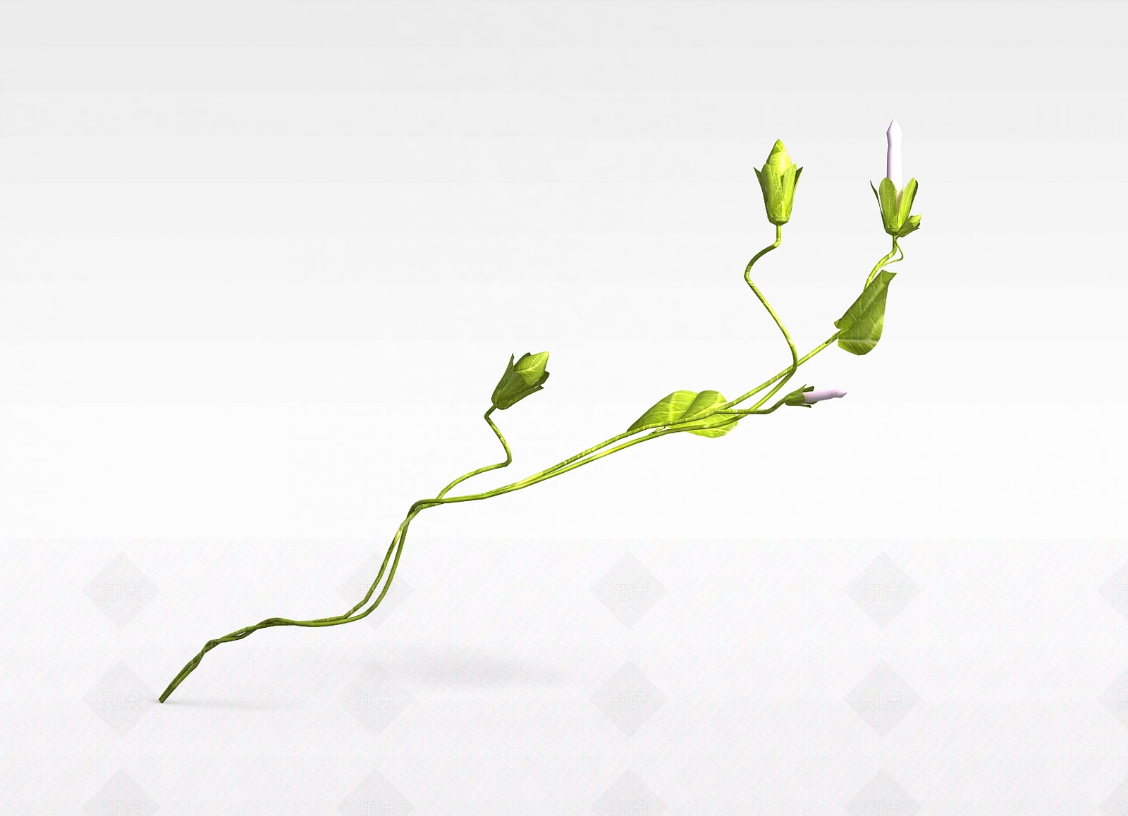 现代牵牛花3D模型下载【ID:1199470751】