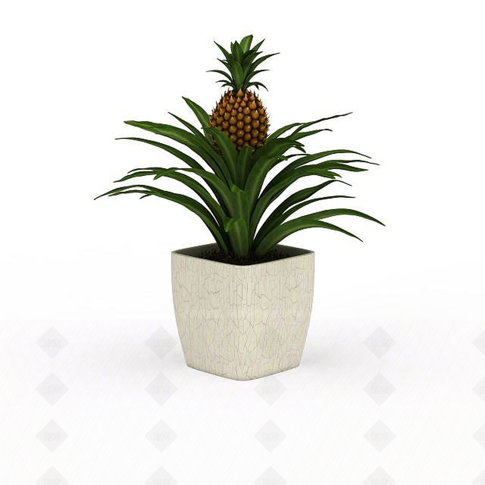现代菠萝盆栽3D模型下载【ID:1199470787】