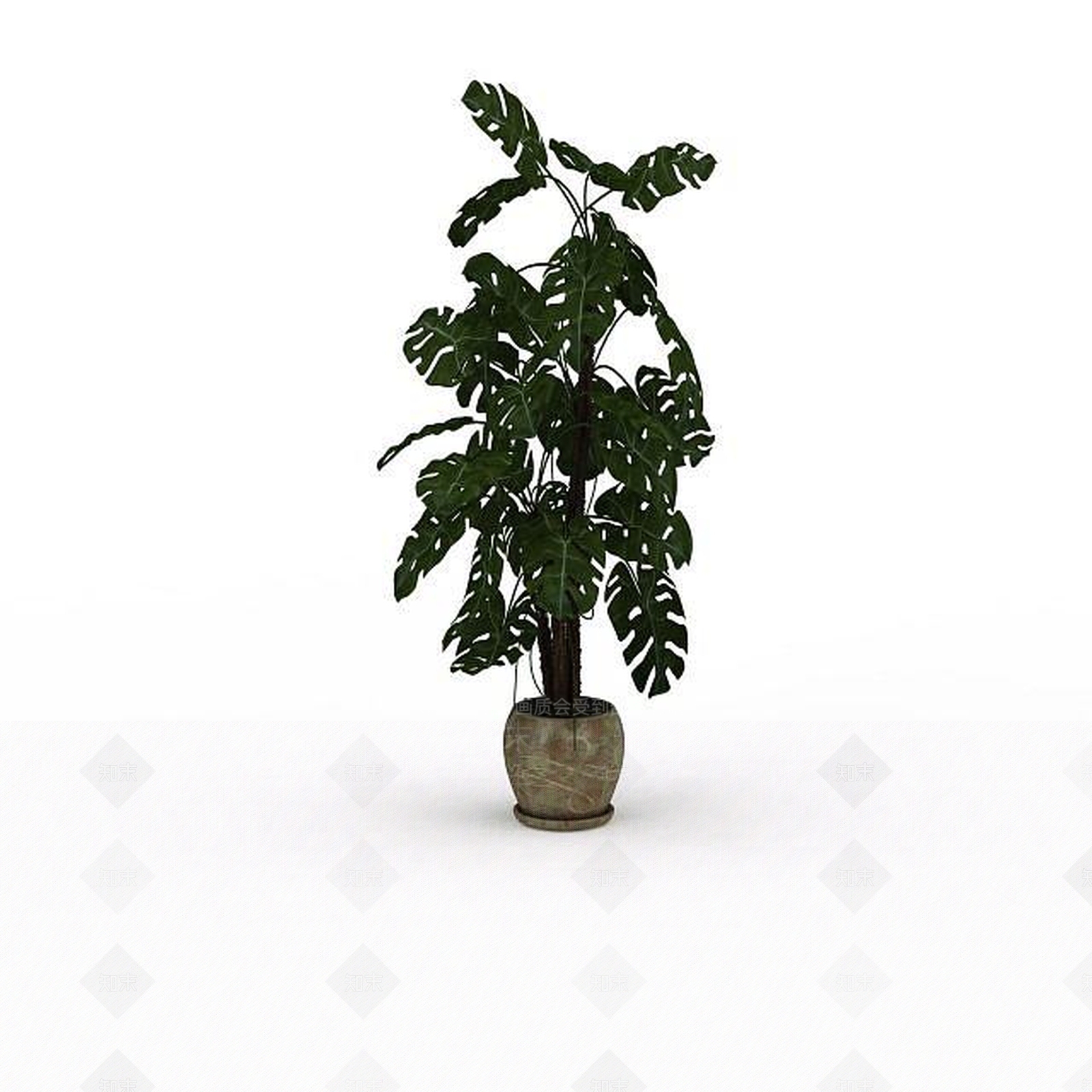 现代扇叶植物盆栽3D模型下载【ID:1199473517】