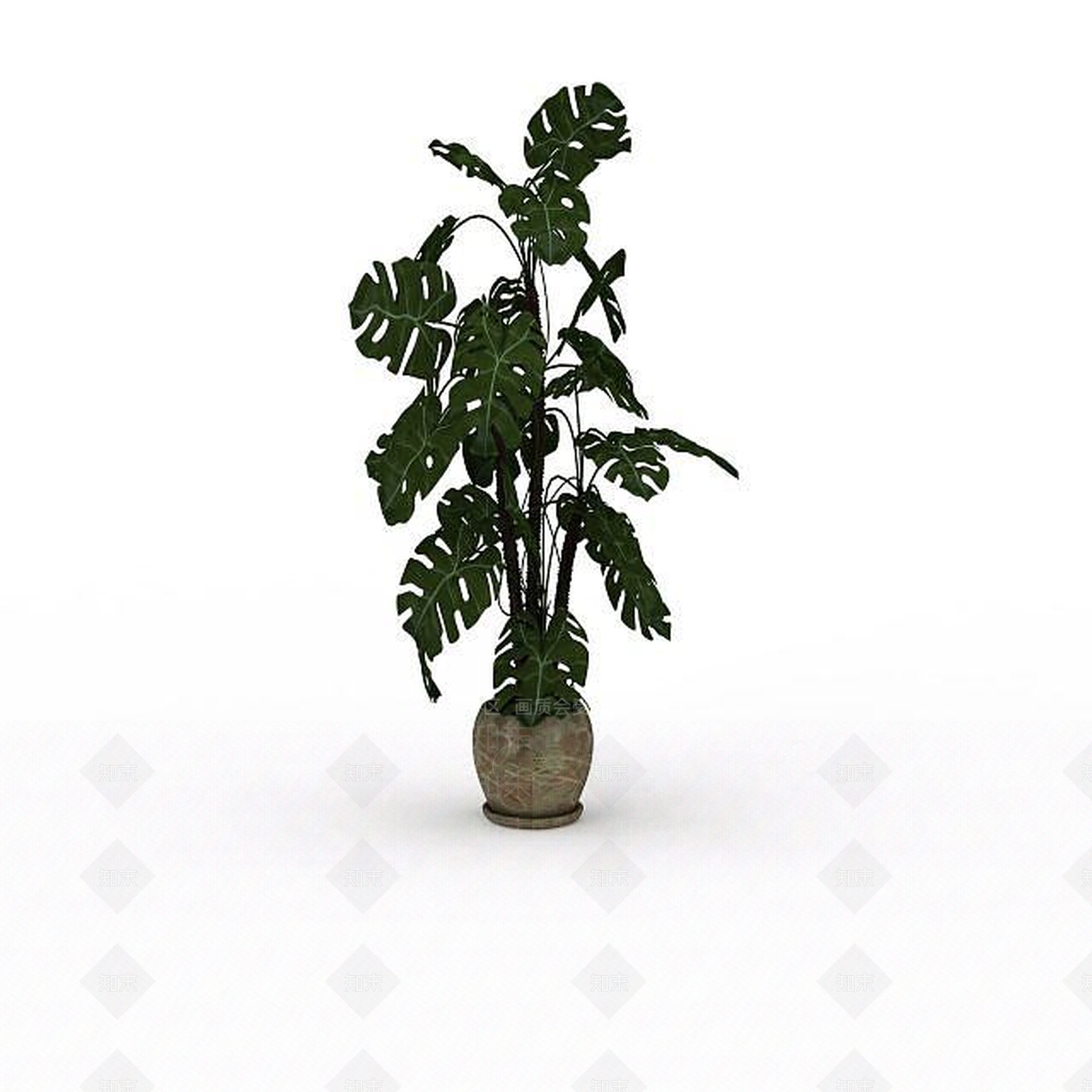 现代扇叶植物盆栽3D模型下载【ID:1199473517】